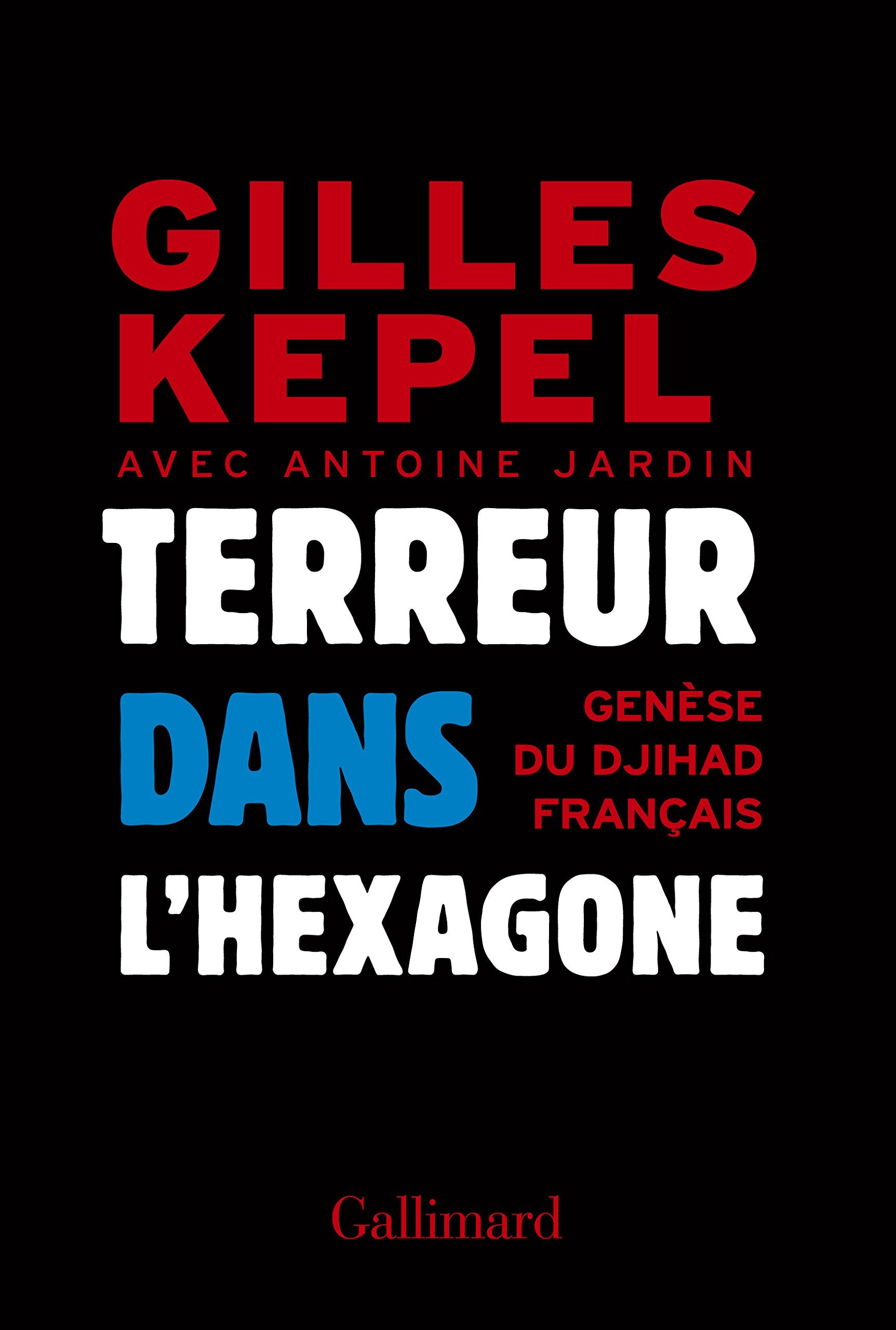 Terreur dans l'Hexagone: Genèse du djihad français 9782070105625