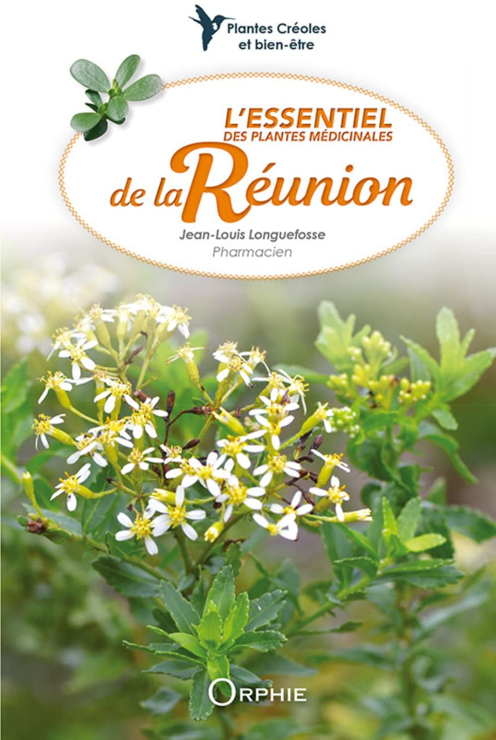 L'essentiel des plantes médicinales de La Réunion 9791029804236