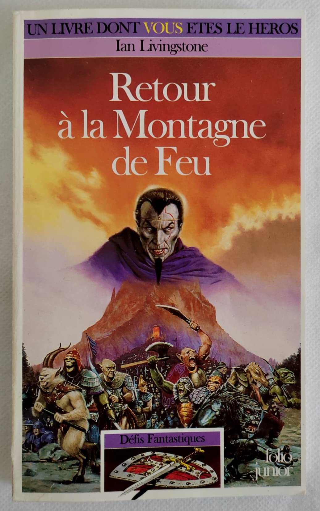 Defis Fantastiques Tome 50 : Retour A La Montagne De Feu 9782070582693