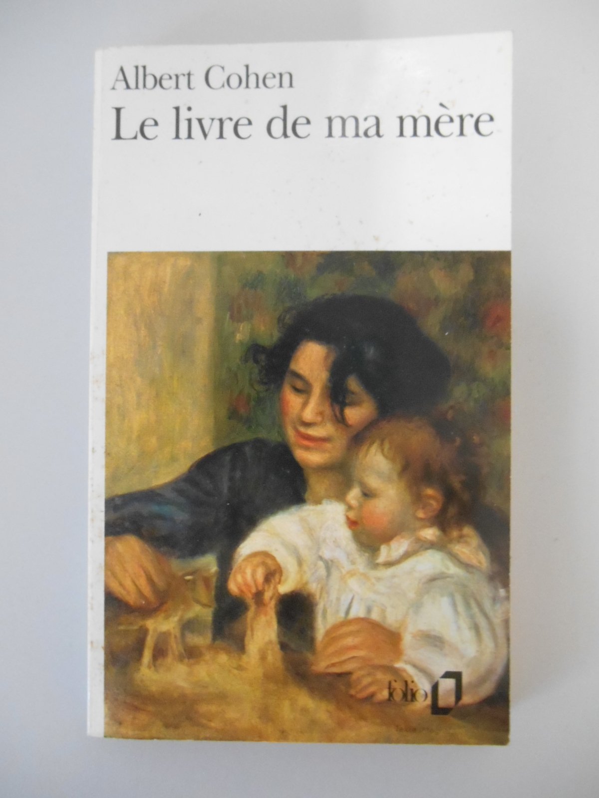 Le Livre De Ma Mere 9782070393565