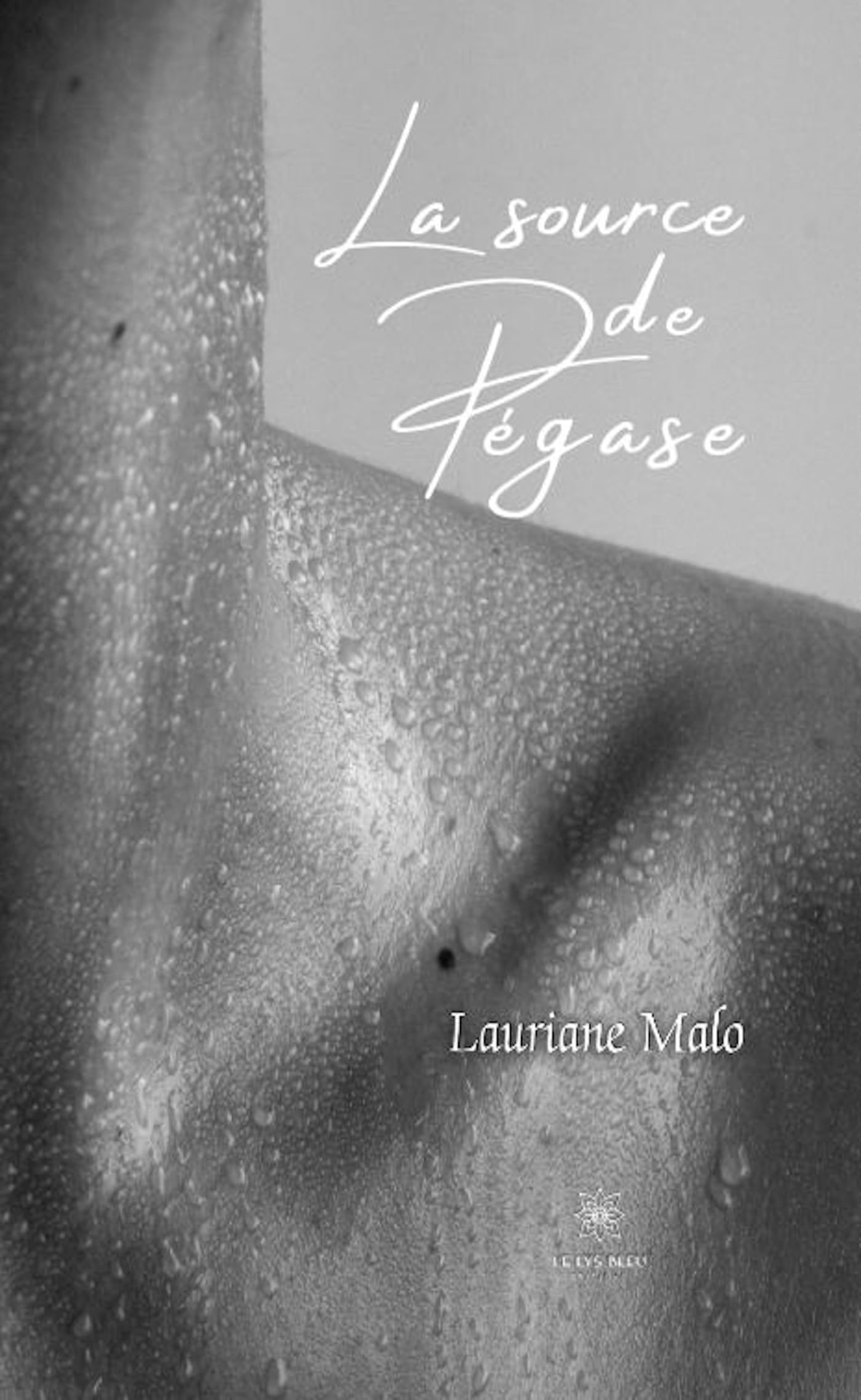 La source de pégase 9791042219055