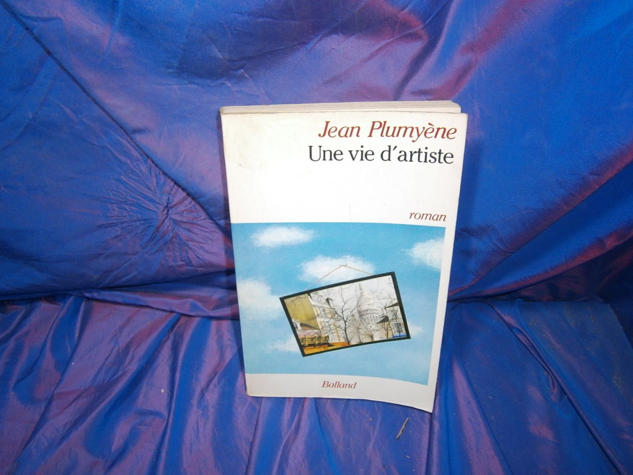 Une Vie d'artiste 9782715803480