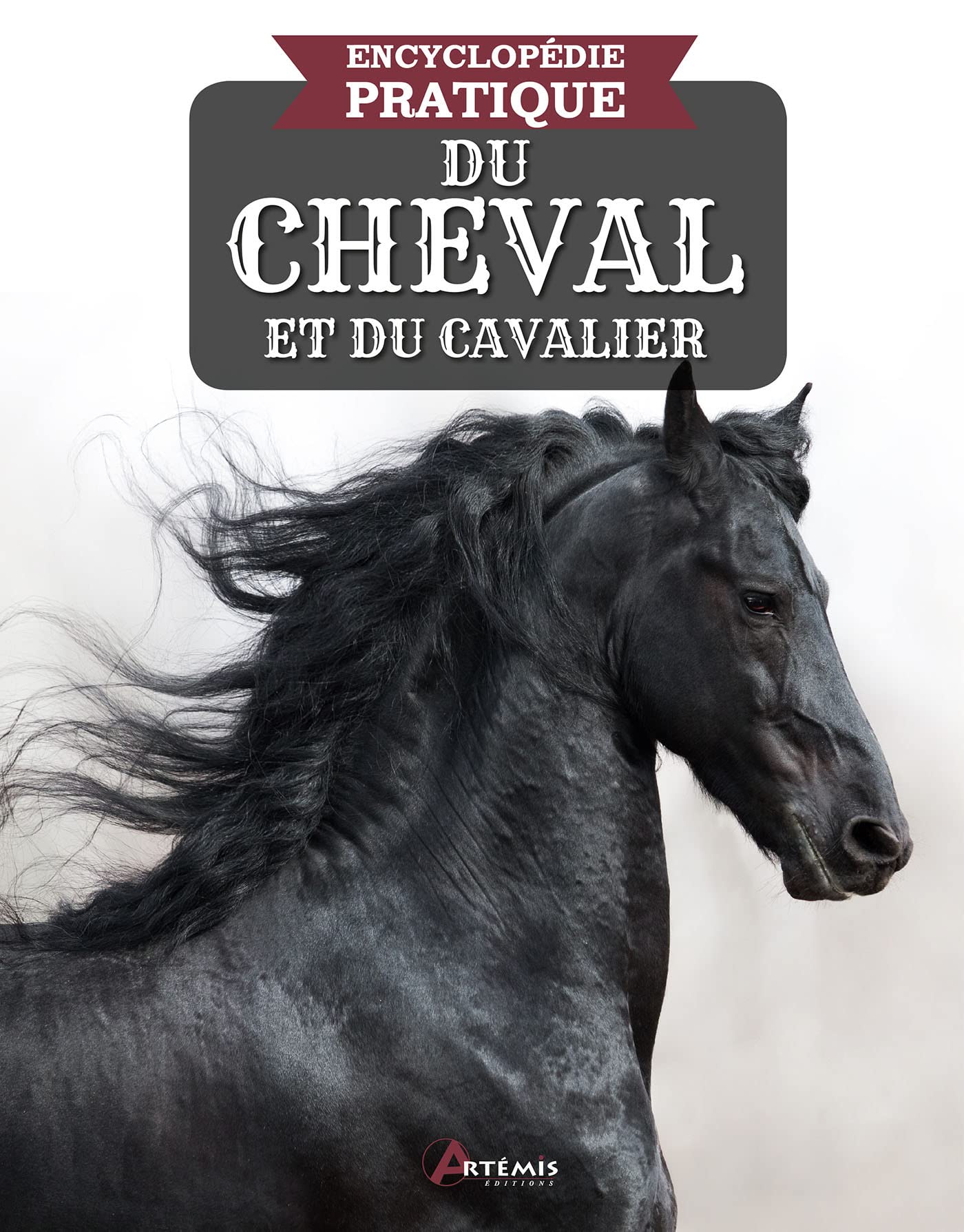 Encyclopédie pratique du cheval et du cavalier - Nouvelle Edition 9782816017632