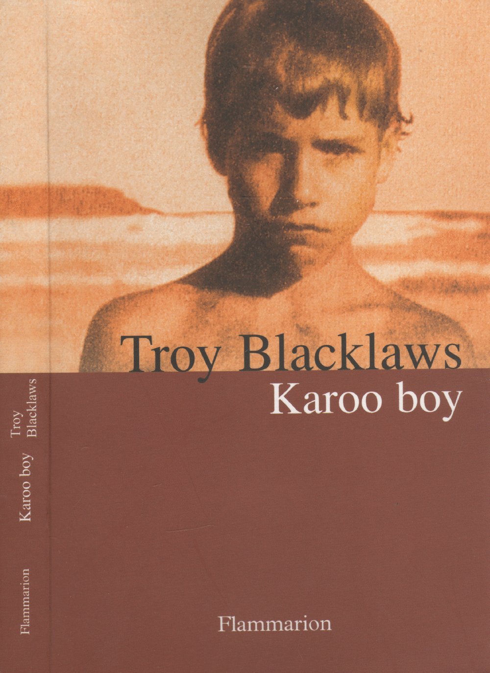 Karoo Boy 9782080688422