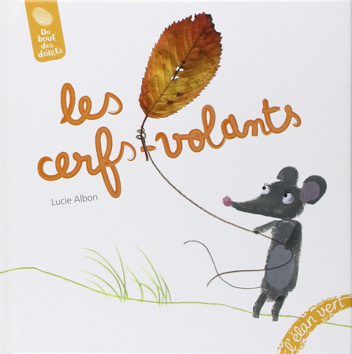 LES CERFS-VOLANTS 9782844551993