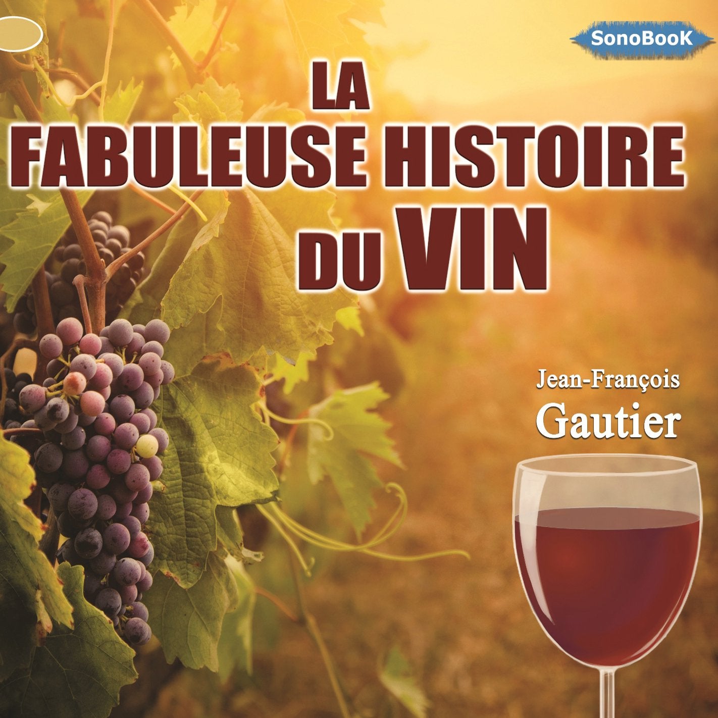 La Fabuleuse Histoire du Vin 9782353290604