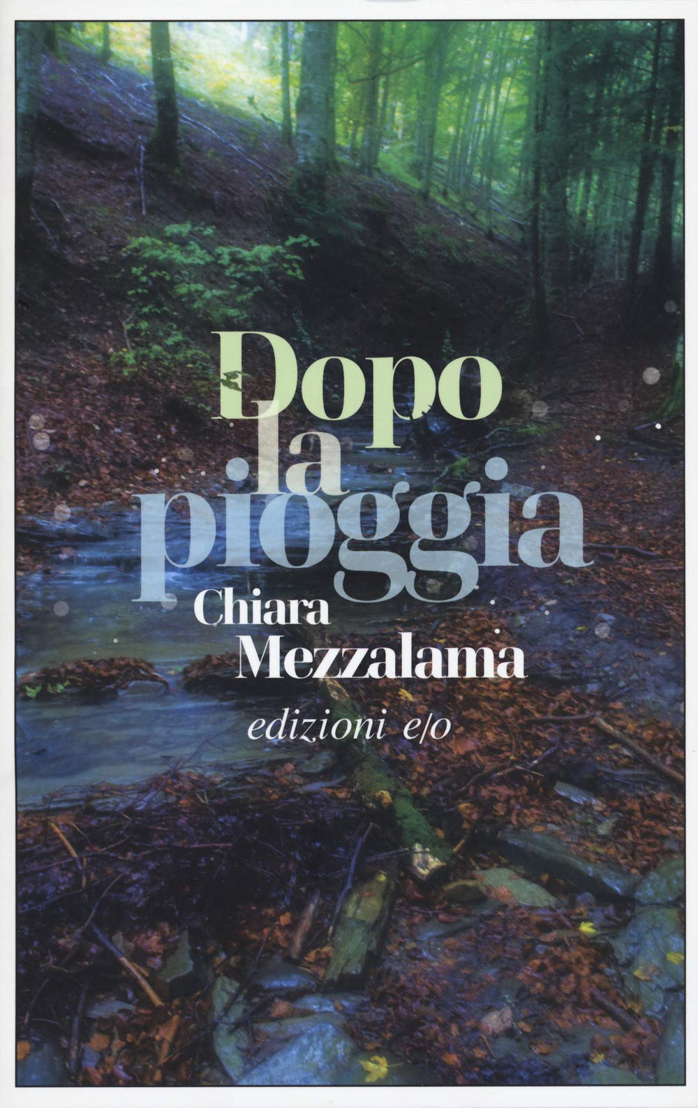 Dopo la pioggia 9788833572253