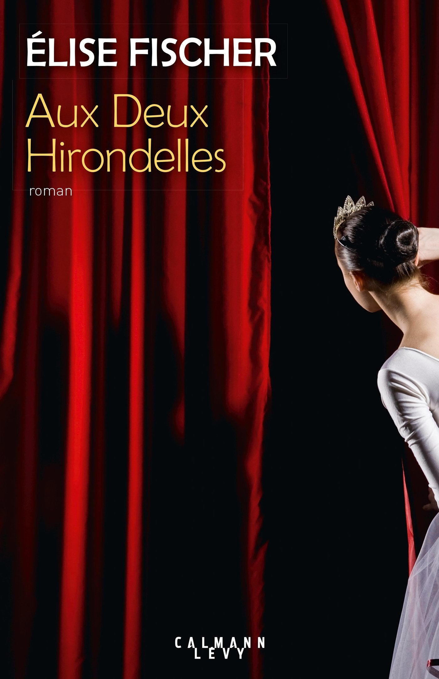Aux deux hirondelles 9782702160510