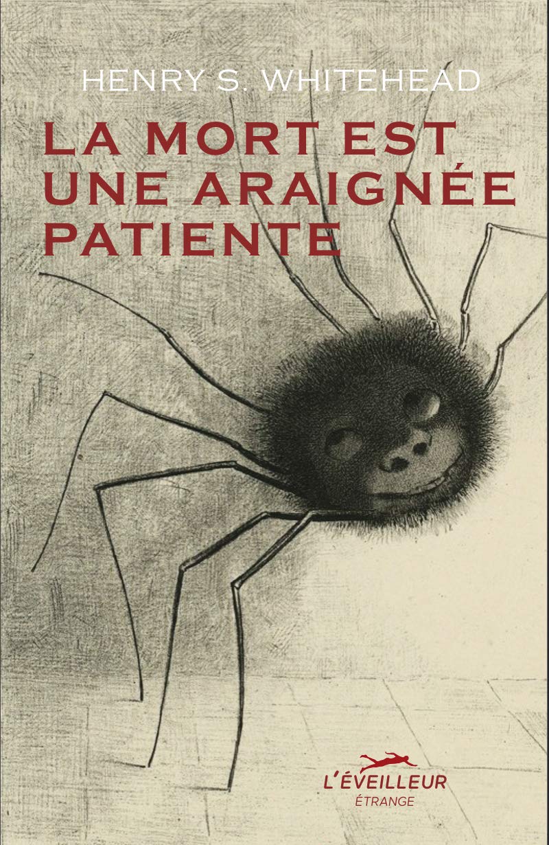 La mort est une araignée patiente 9791096011056
