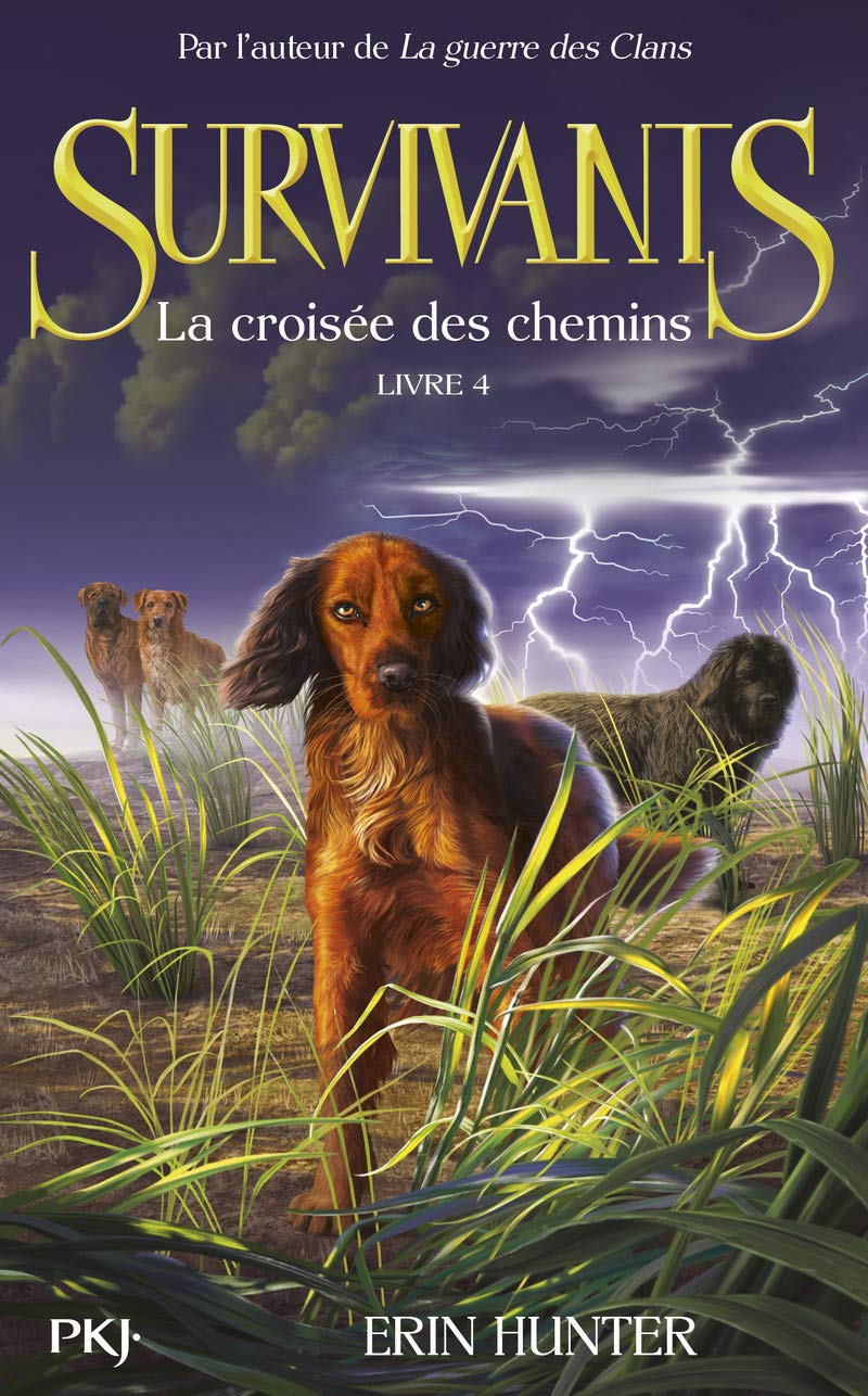 4. Survivants : La croisée des chemins 9782266233378
