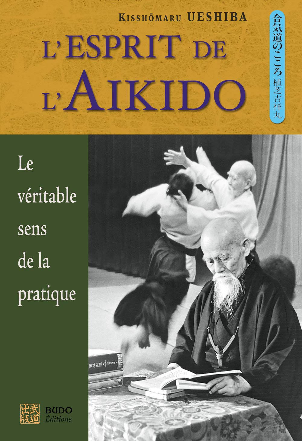 L'esprit de l'aikido : Le véritable sens de la pratique 9782846170154