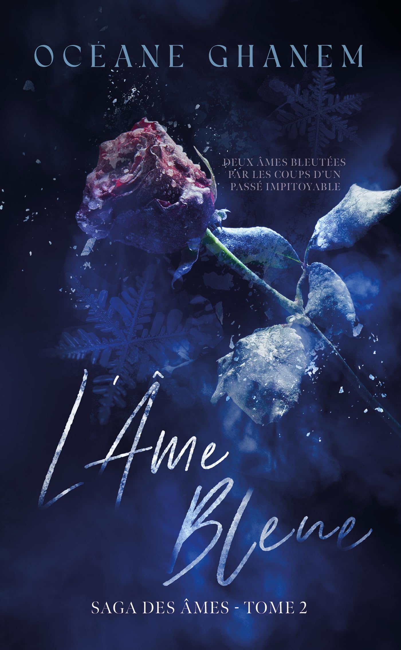 L'Âme bleue - Tome 2 9782017246305