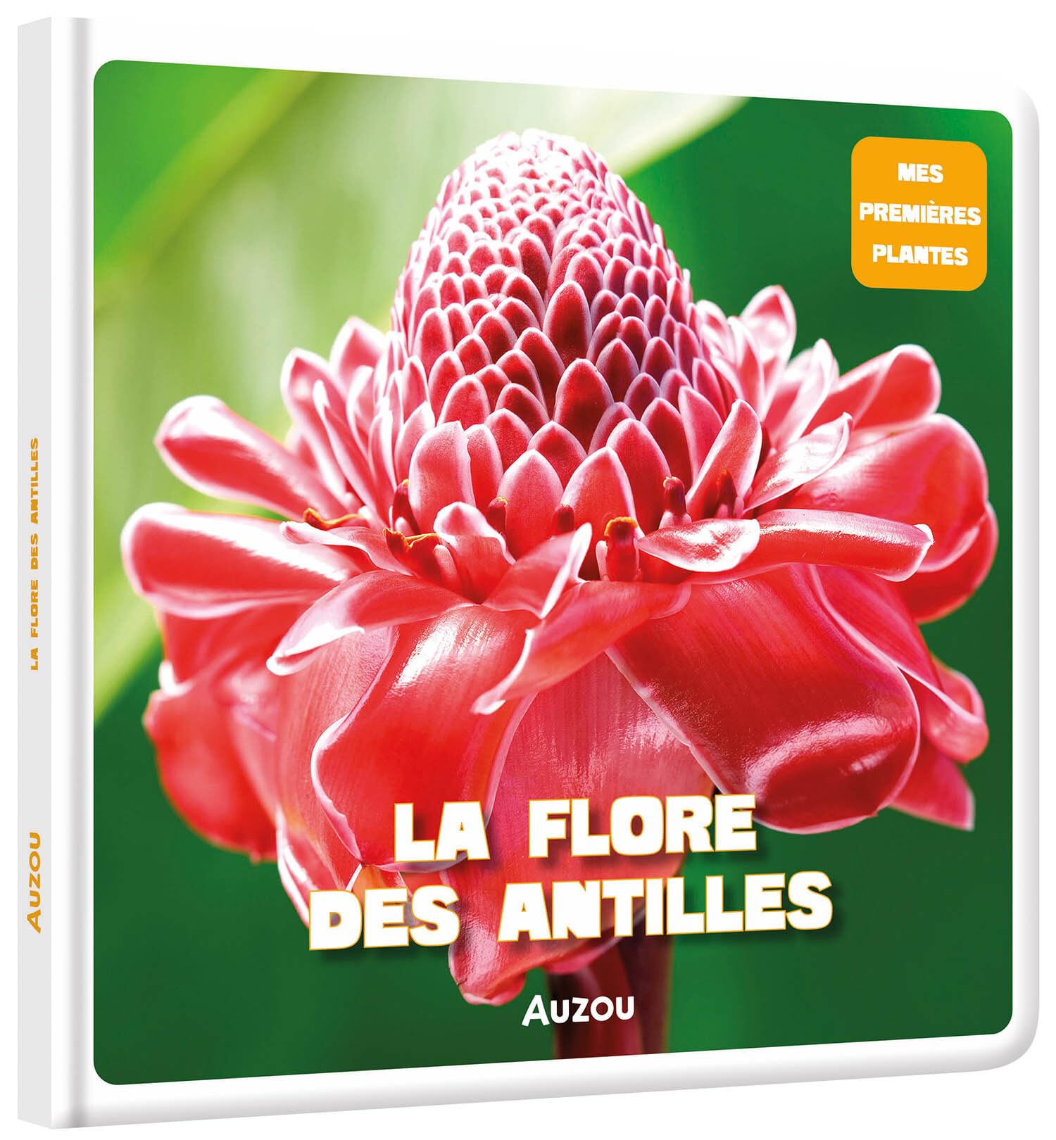La flore des Antilles 9782733858776