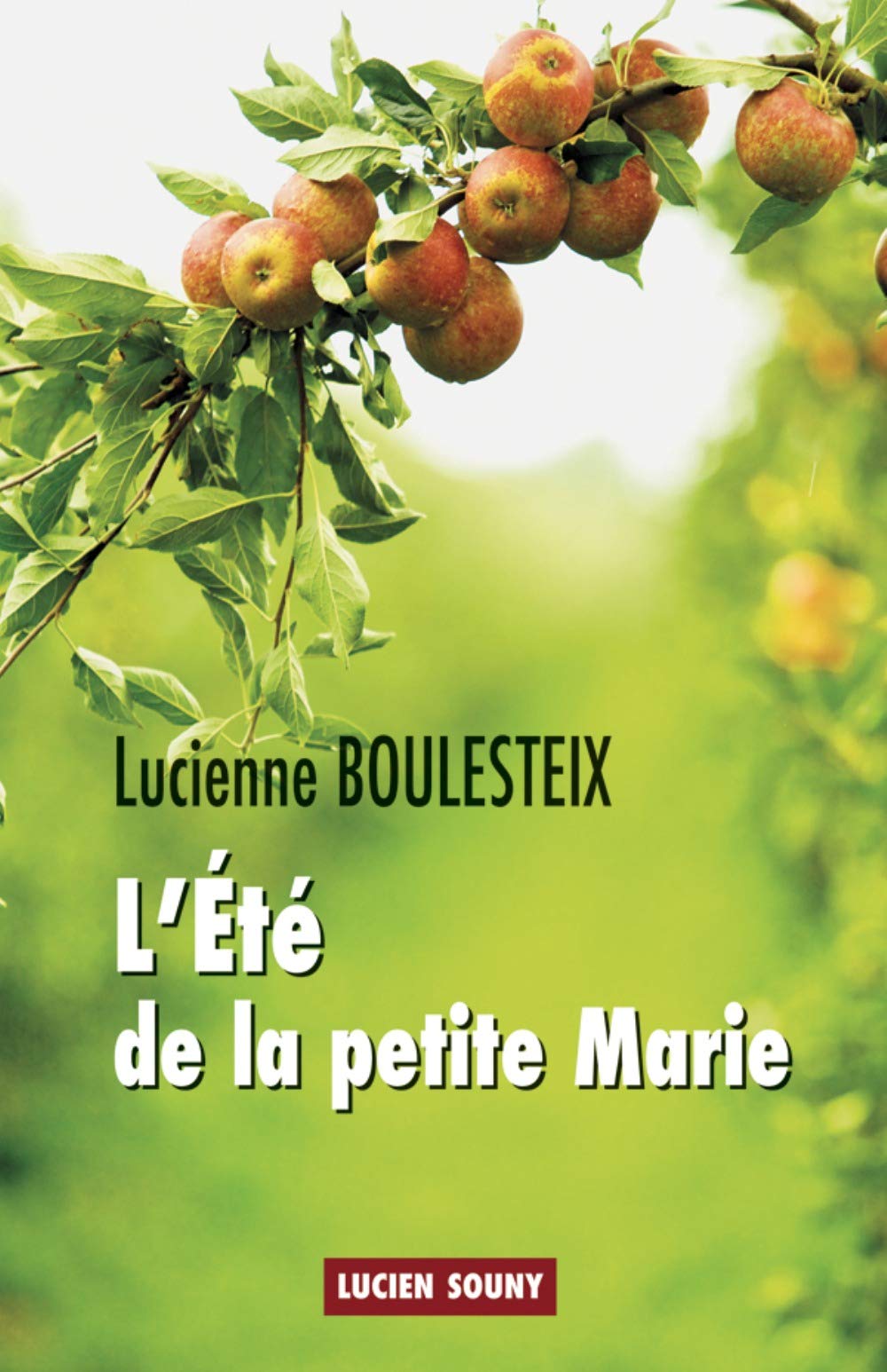 L'Eté de la petite Marie 9782848864266