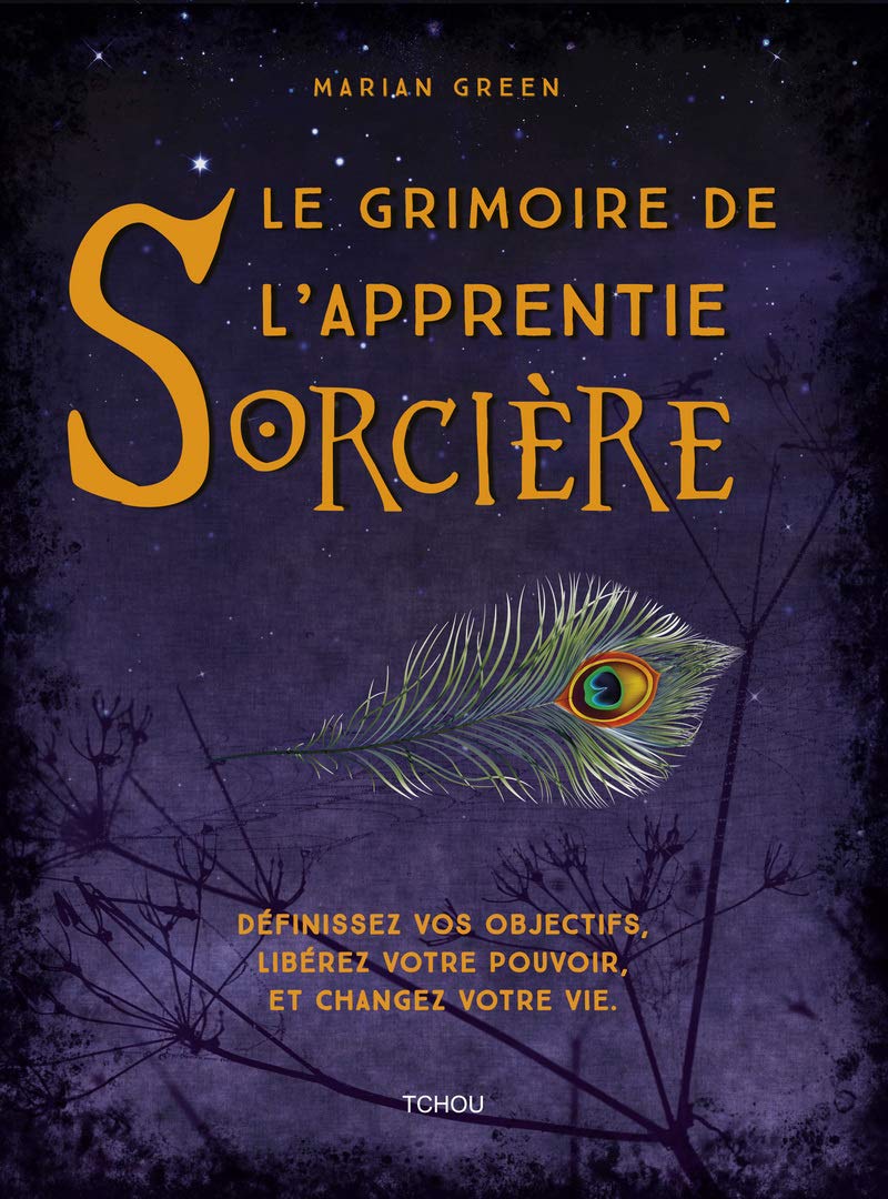 Le grimoire de l'apprentie sorcière 9782710789581