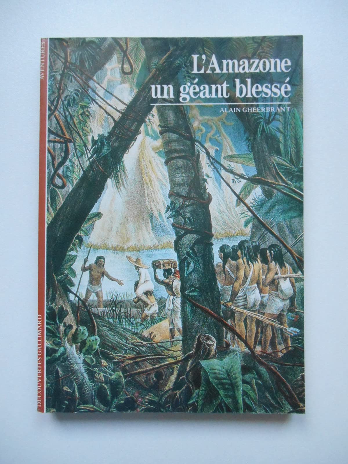 L'AMAZONE, UN GEANT BLESSE 9782070530618