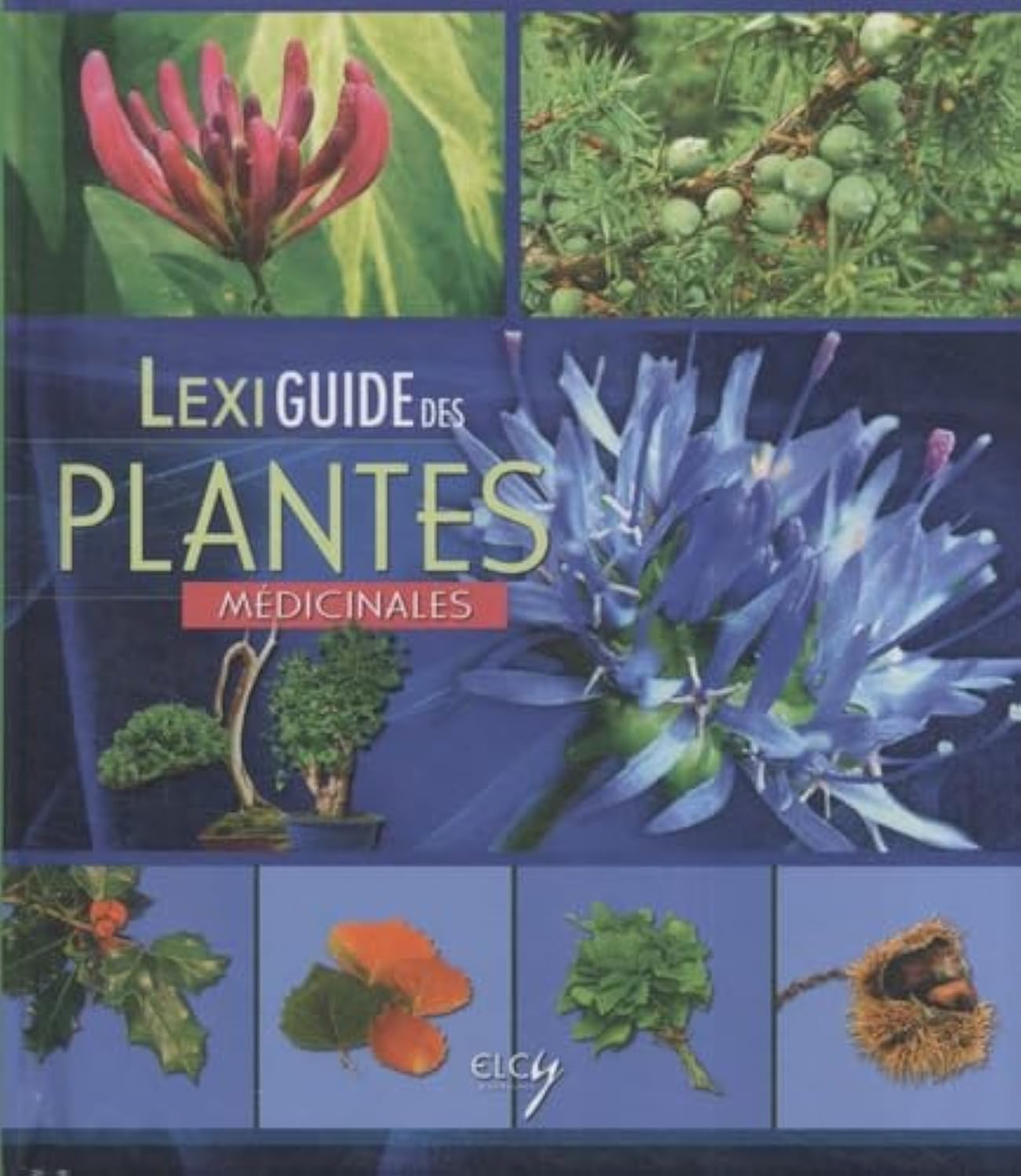 Lexiguide des plantes médicinales 9782753200869