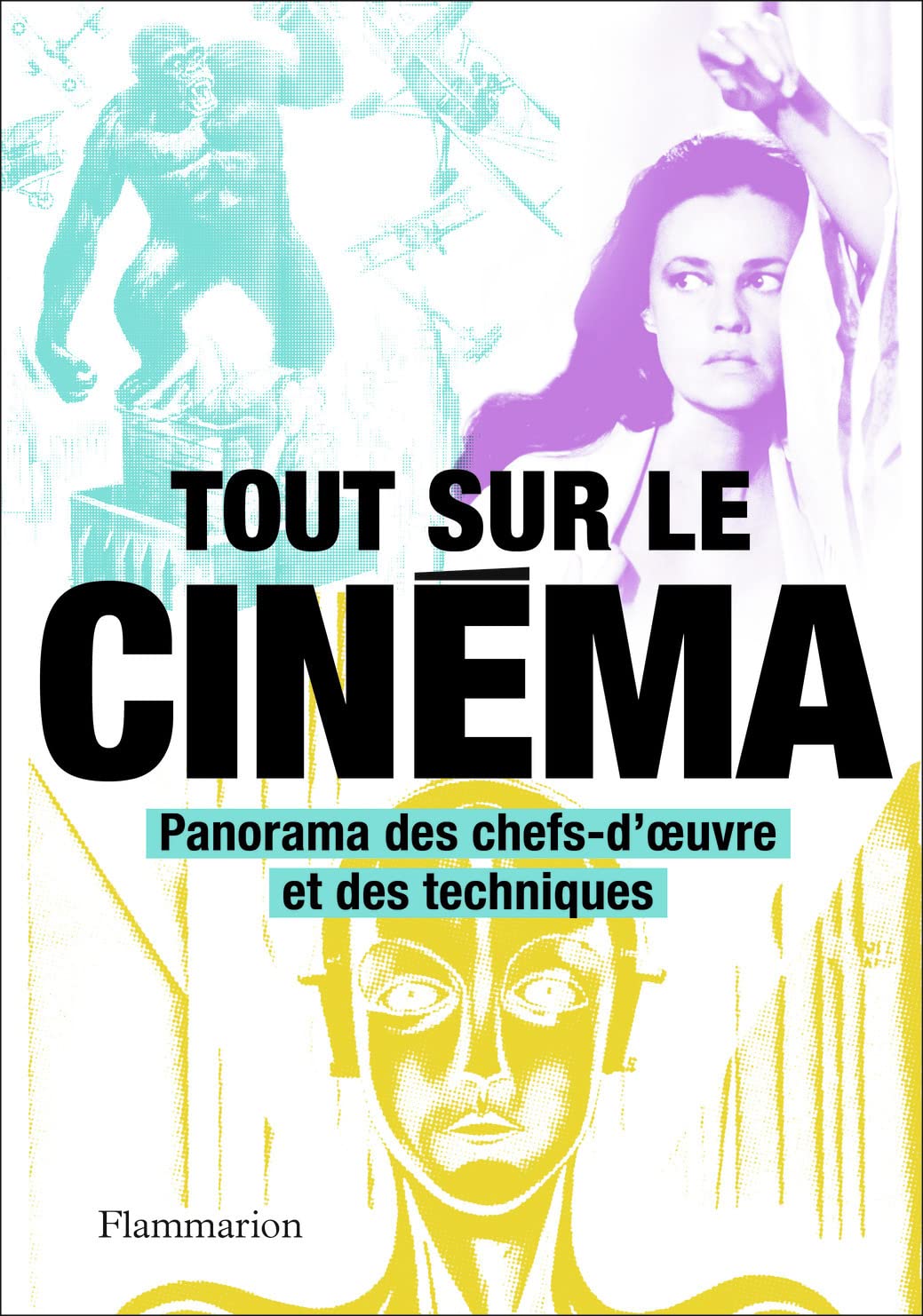 Tout sur le cinéma: Panorama des chefs-d'oeuvre et des techniques 9782081460089