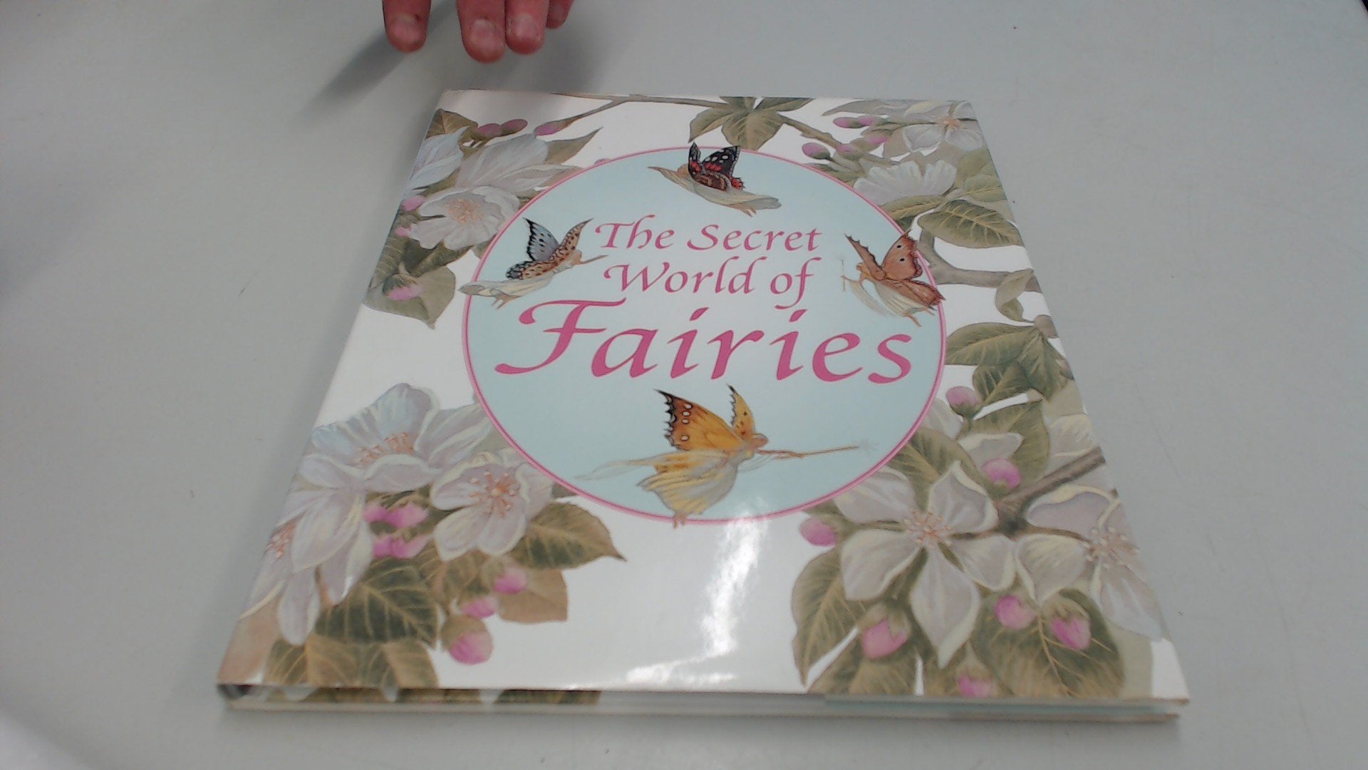 The Secret World of Fairies 9781858548289