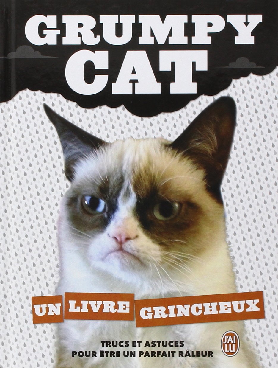 Grumpy cat: Un livre grincheux 9782290089163