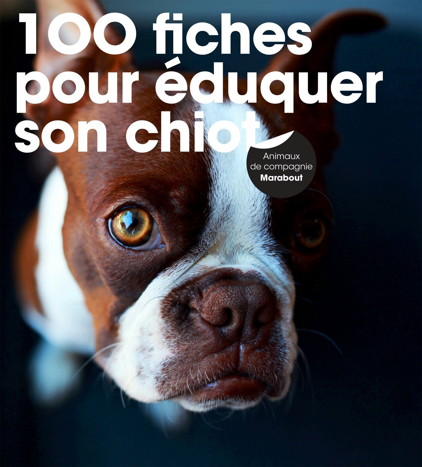 100 fiches pour éduquer son chiot 9782501120333