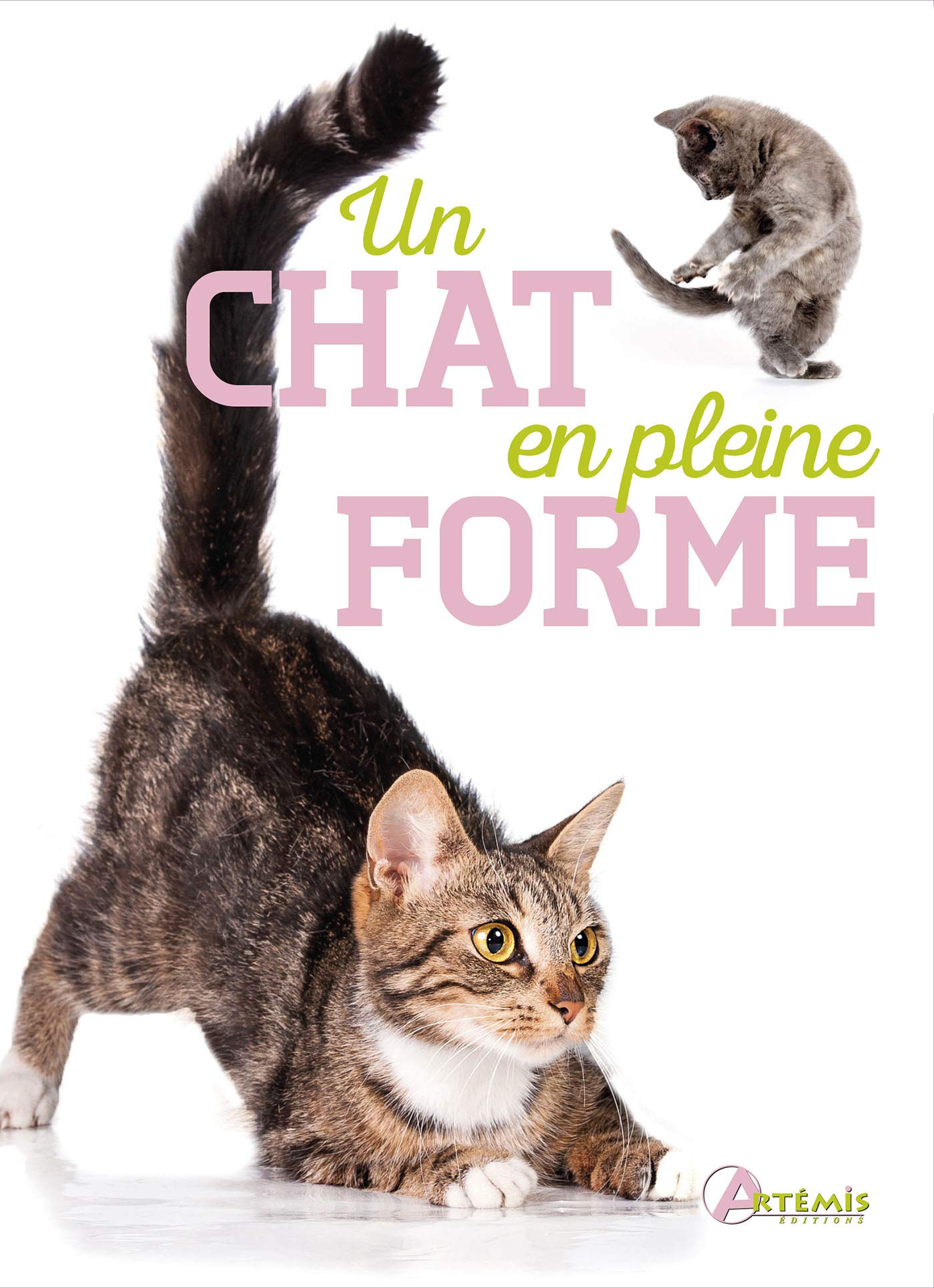 Un chat en pleine forme 9782816009293