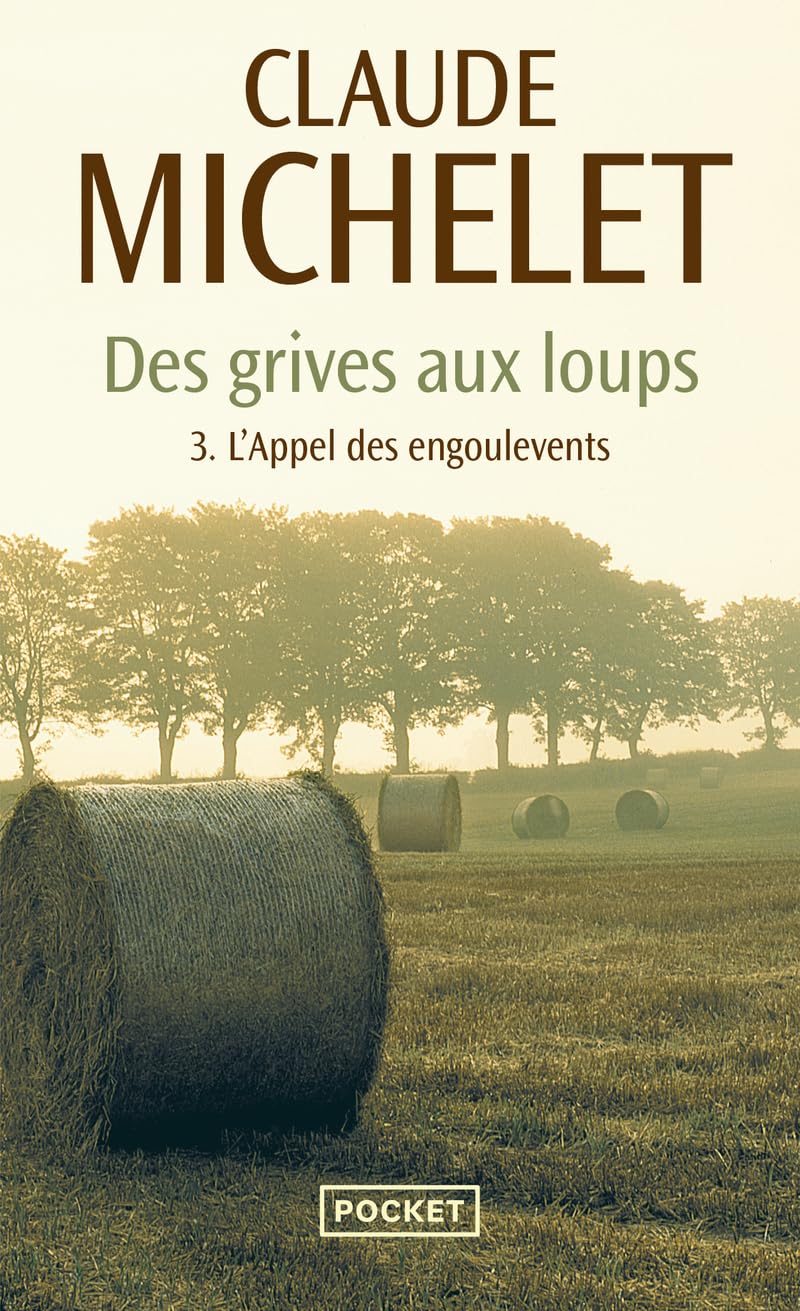 Des grives aux loups 9782266204569
