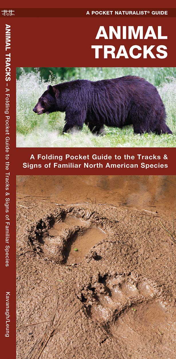 Animal Tracks: A Folding Pocket Guide to the Tracks & Signs of Familiar North American Species 9781583550724