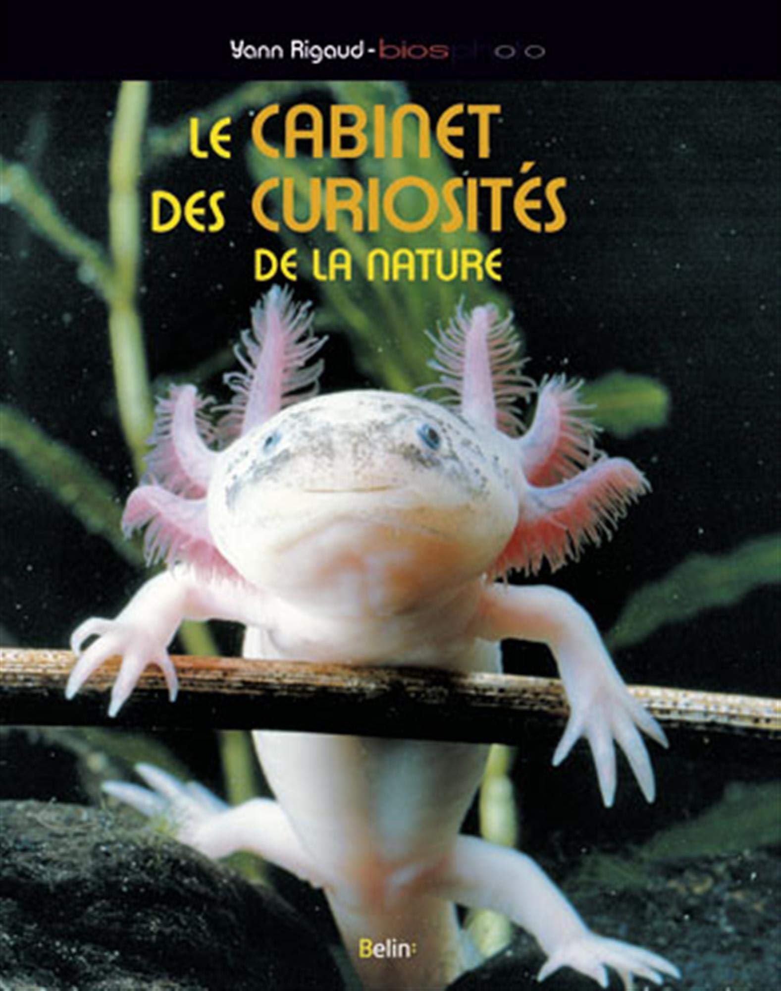 Le cabinet des curiosités de la nature 9782701158594