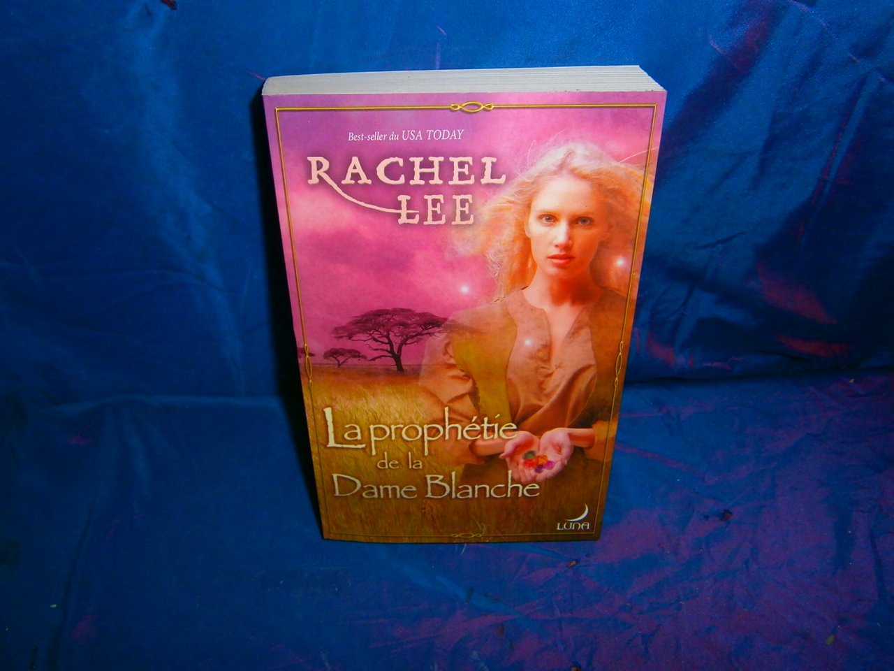 La prophétie de la Dame Blanche 9782280154420