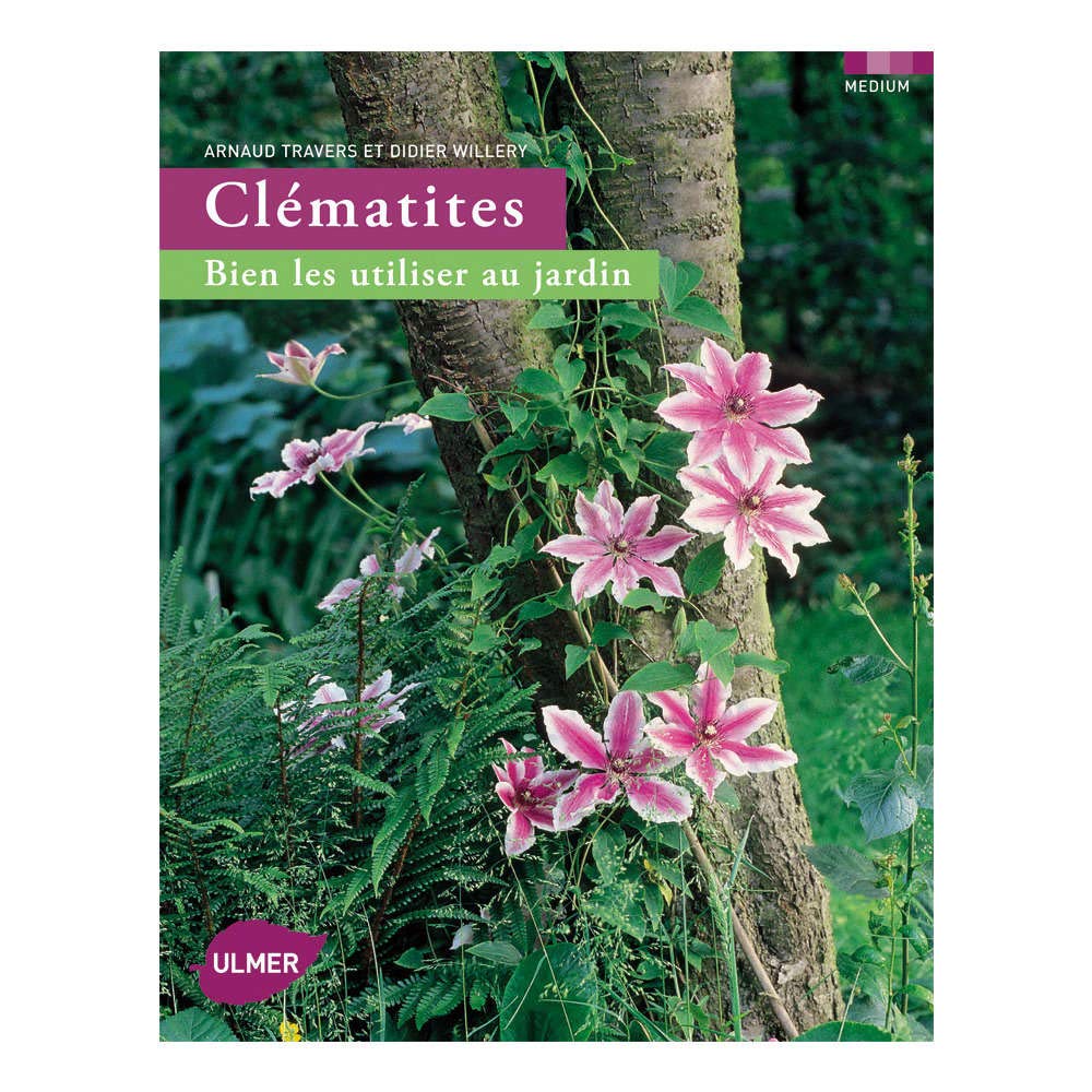 Clématites 9782841384501
