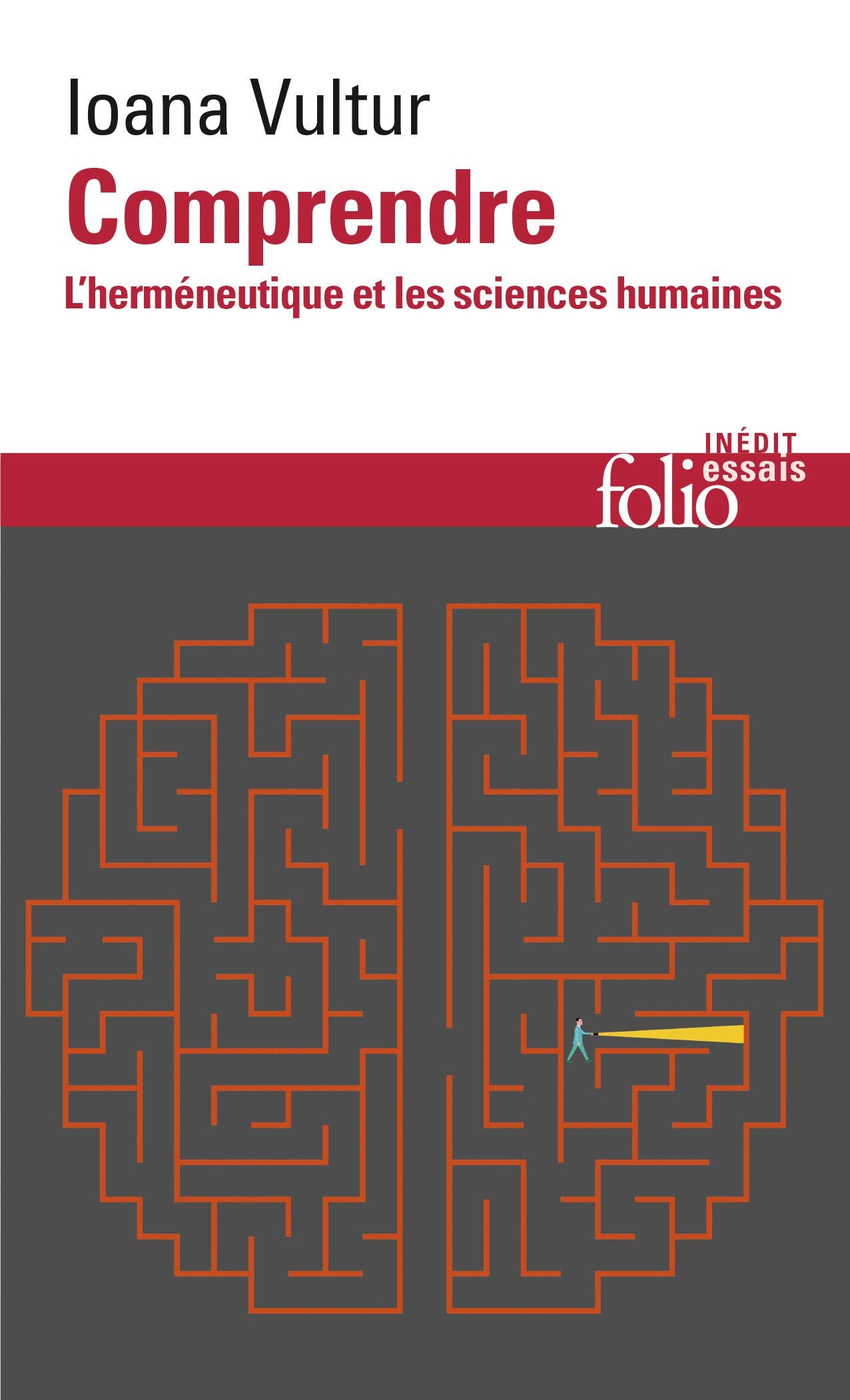 Comprendre: L'herméneutique et les sciences humaines 9782070396672