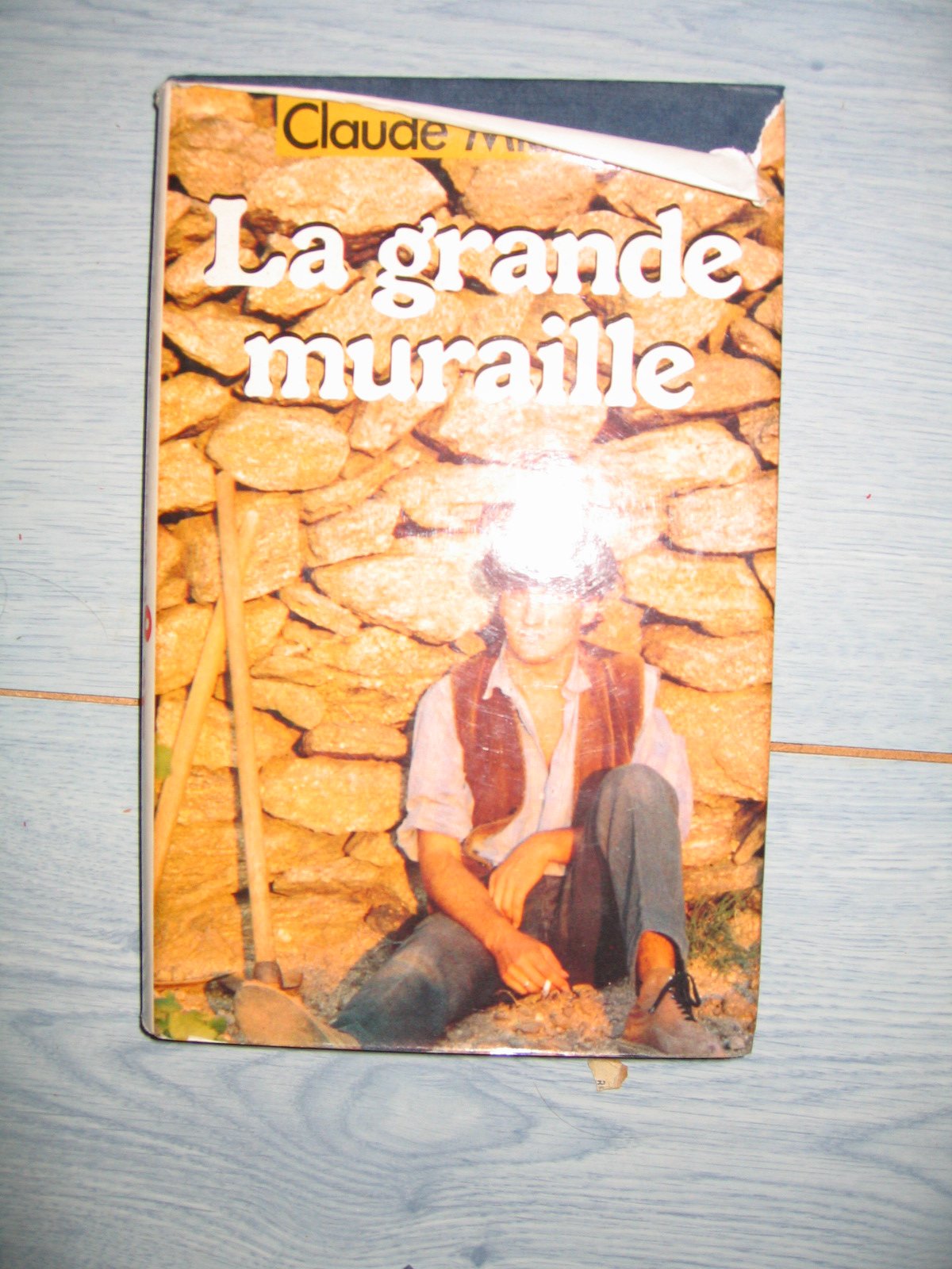 La Grande Muraille 9782221073193