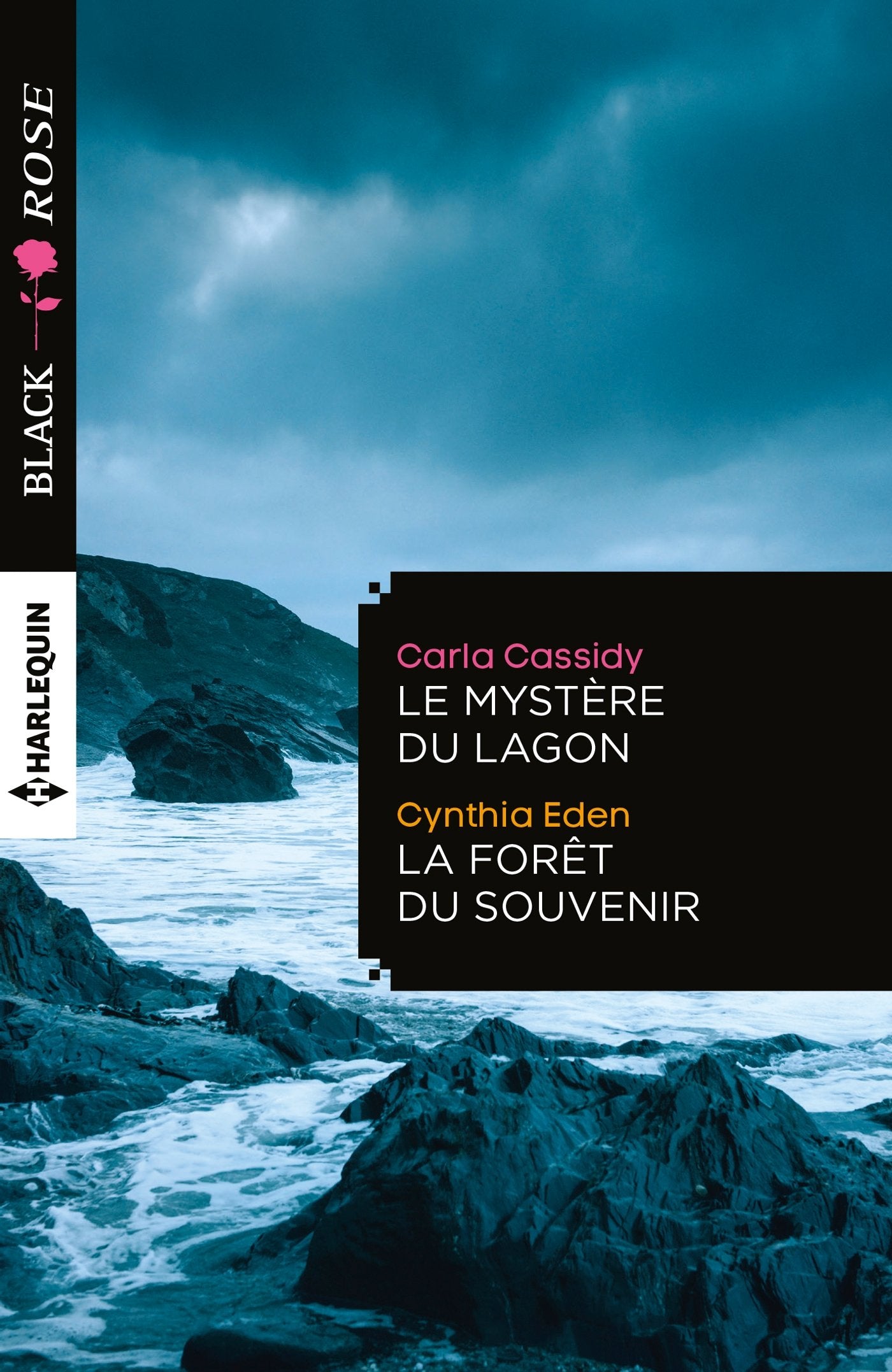 Le mystère du lagon ; La forêt du souvenir 9782280345637