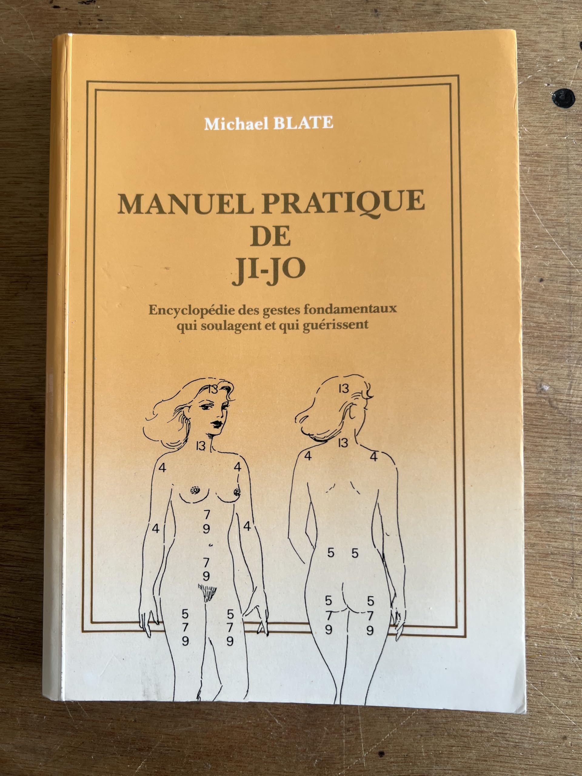 Manuel pratique de Ji-Jo 