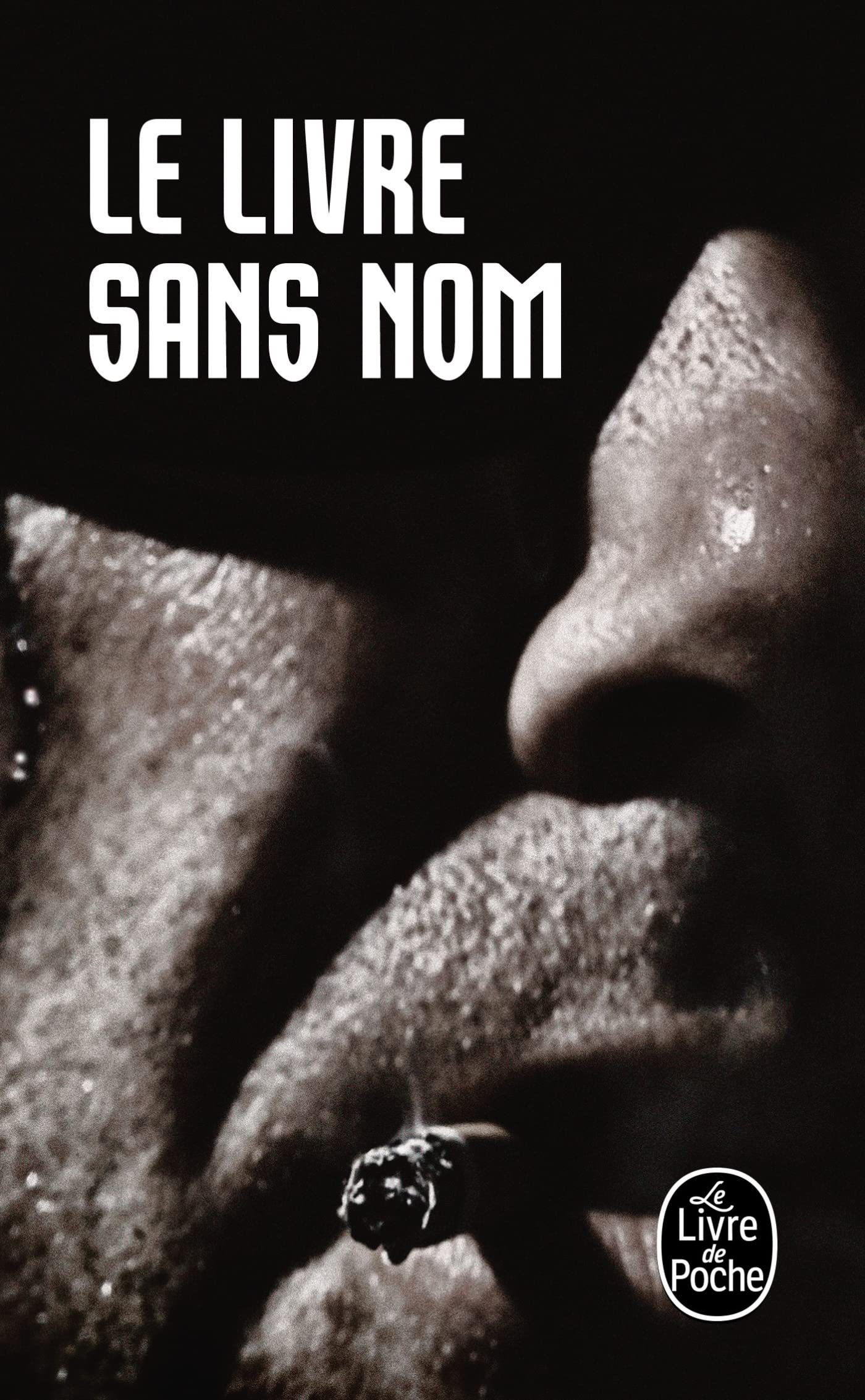 Le Livre sans nom (plp) 9782253158356