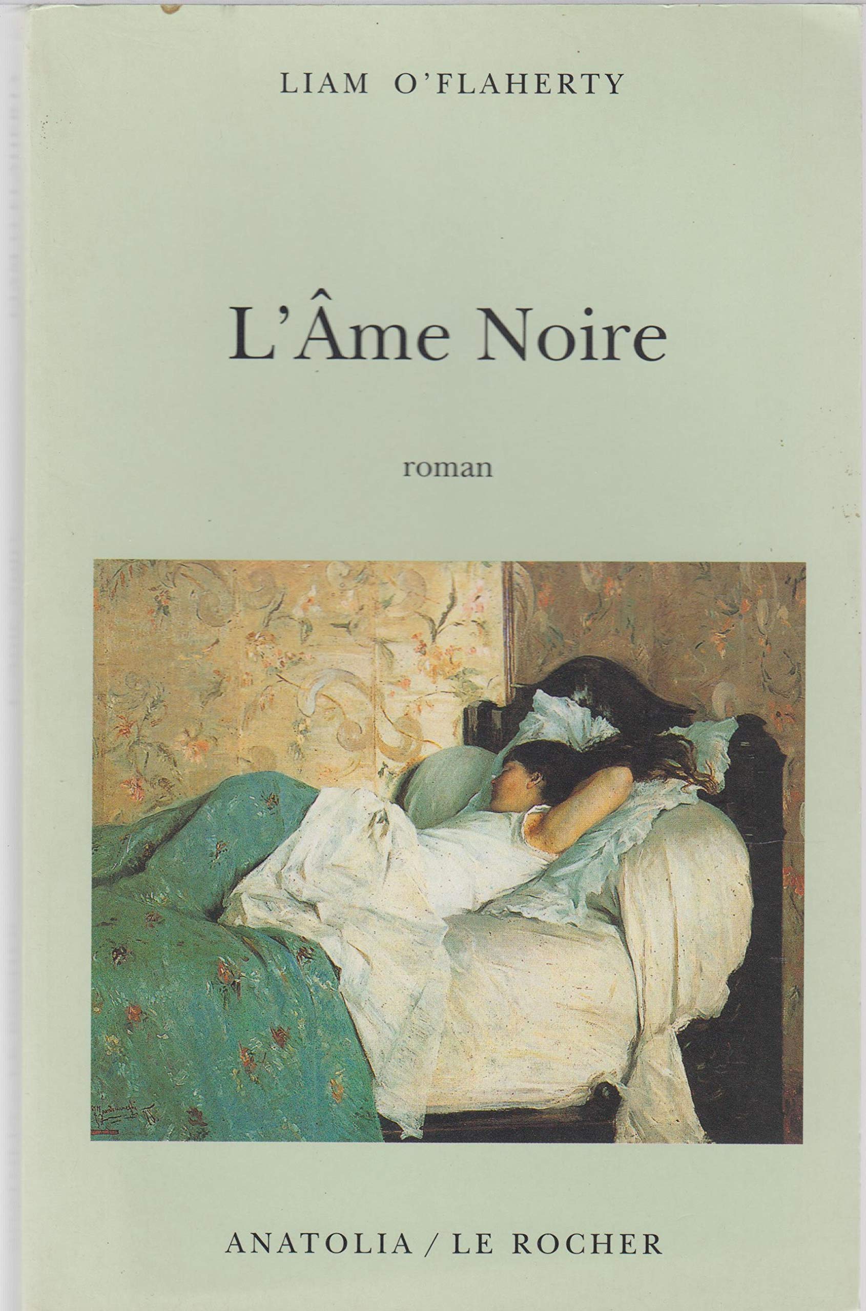 L'Âme noire 9782268031941