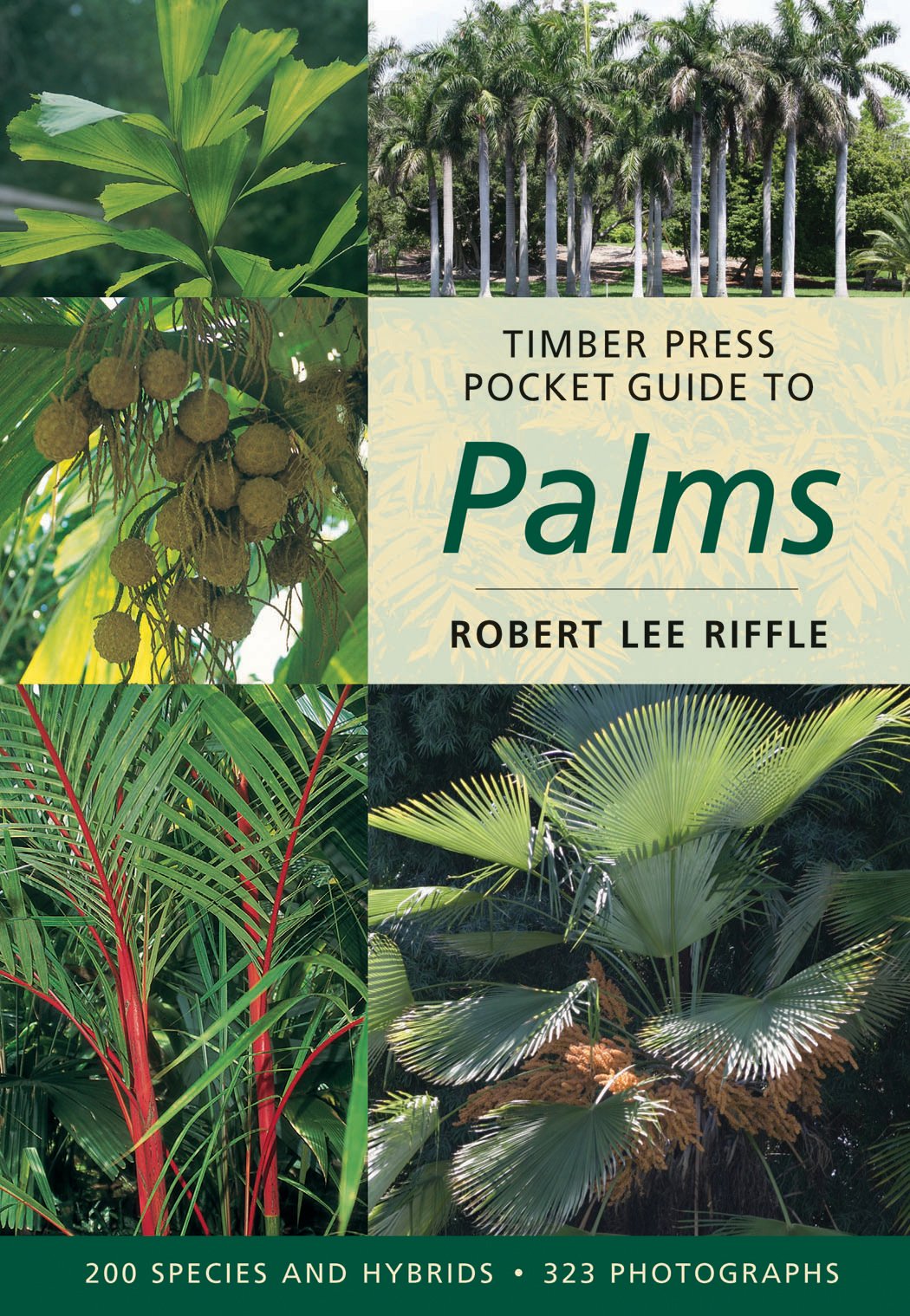 Timber Press Pocket Guide to Palms 9780881927764