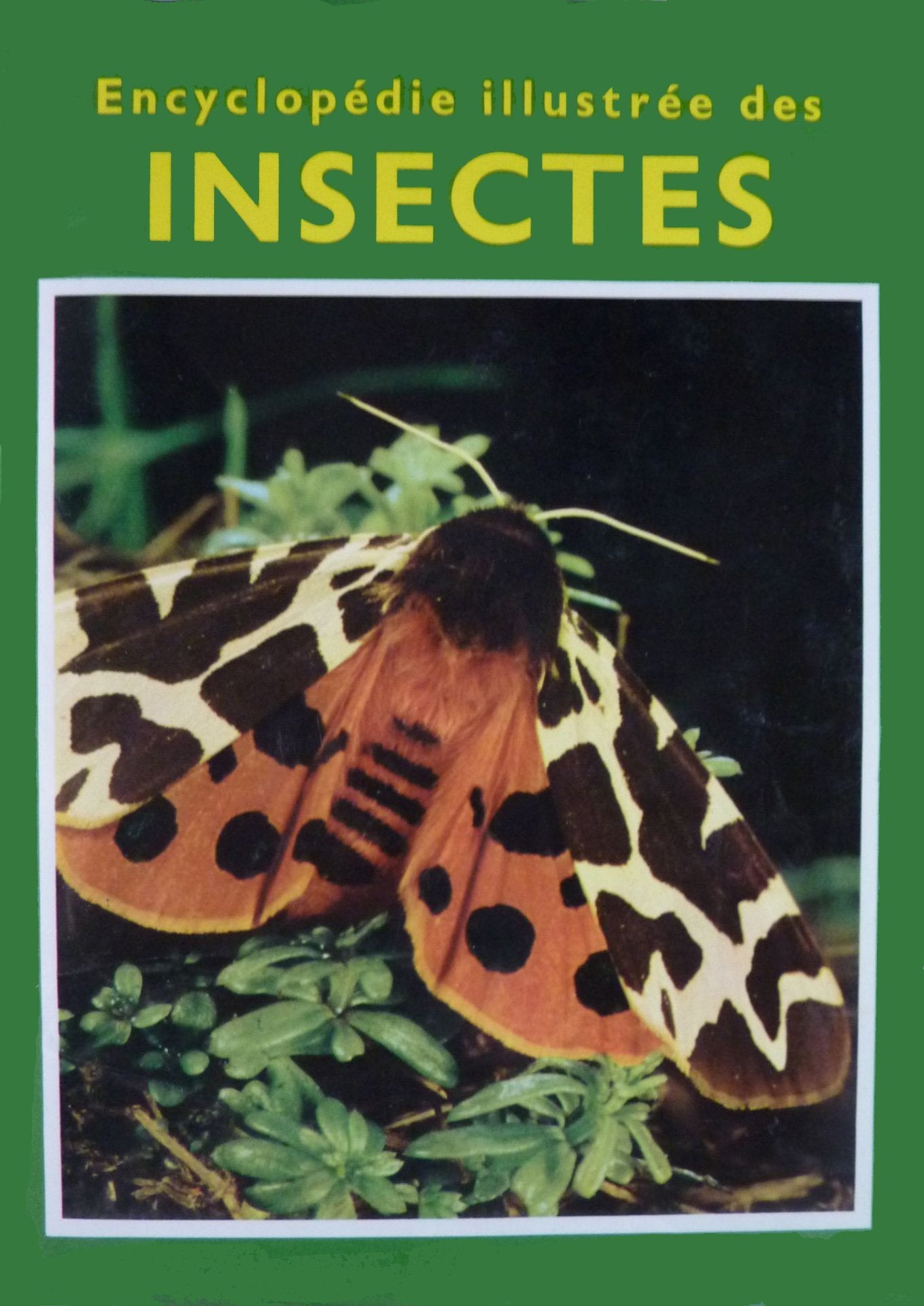 Encyclopédie illustrée des insectes . 9782268069234