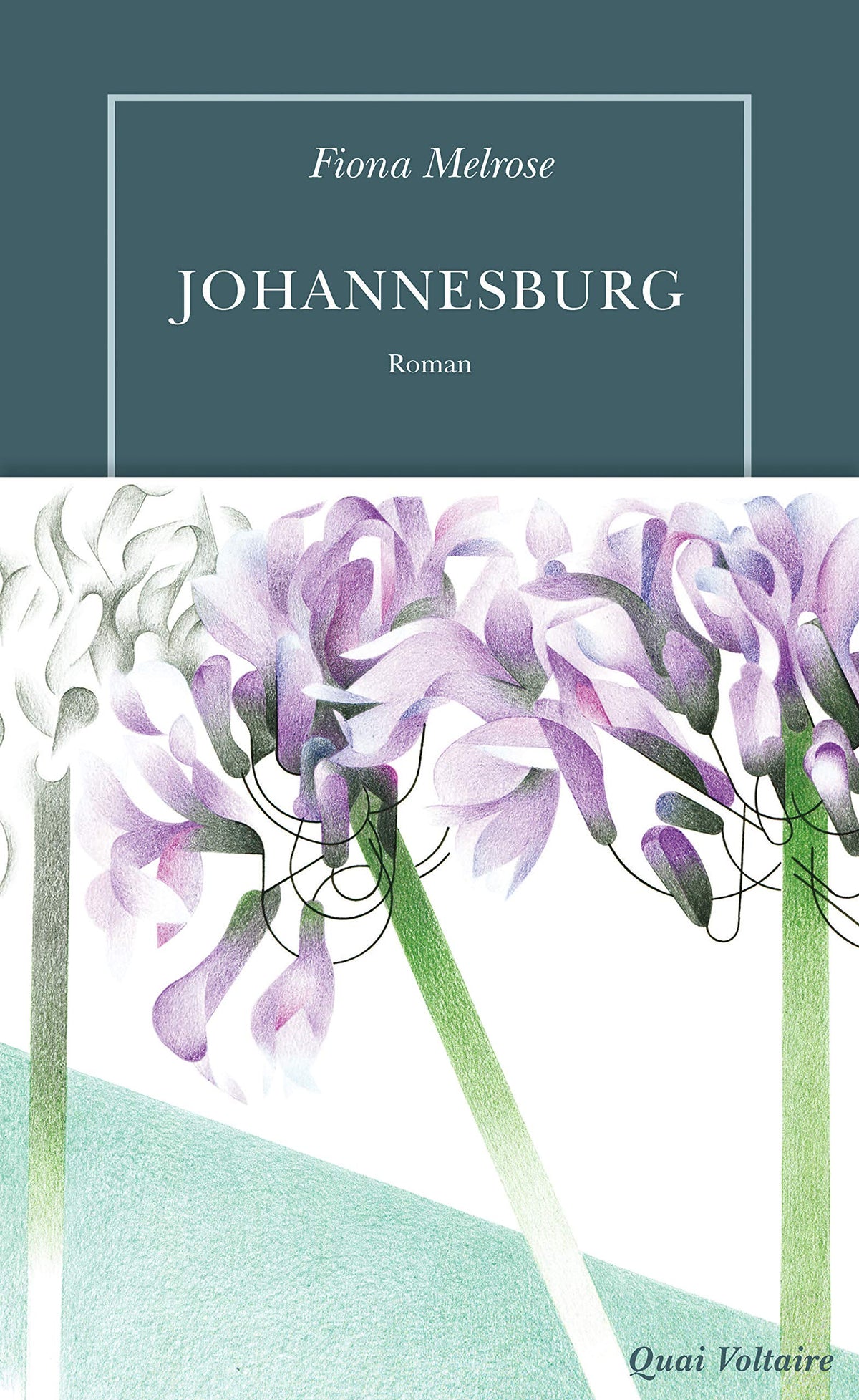 Johannesburg 9782710385936