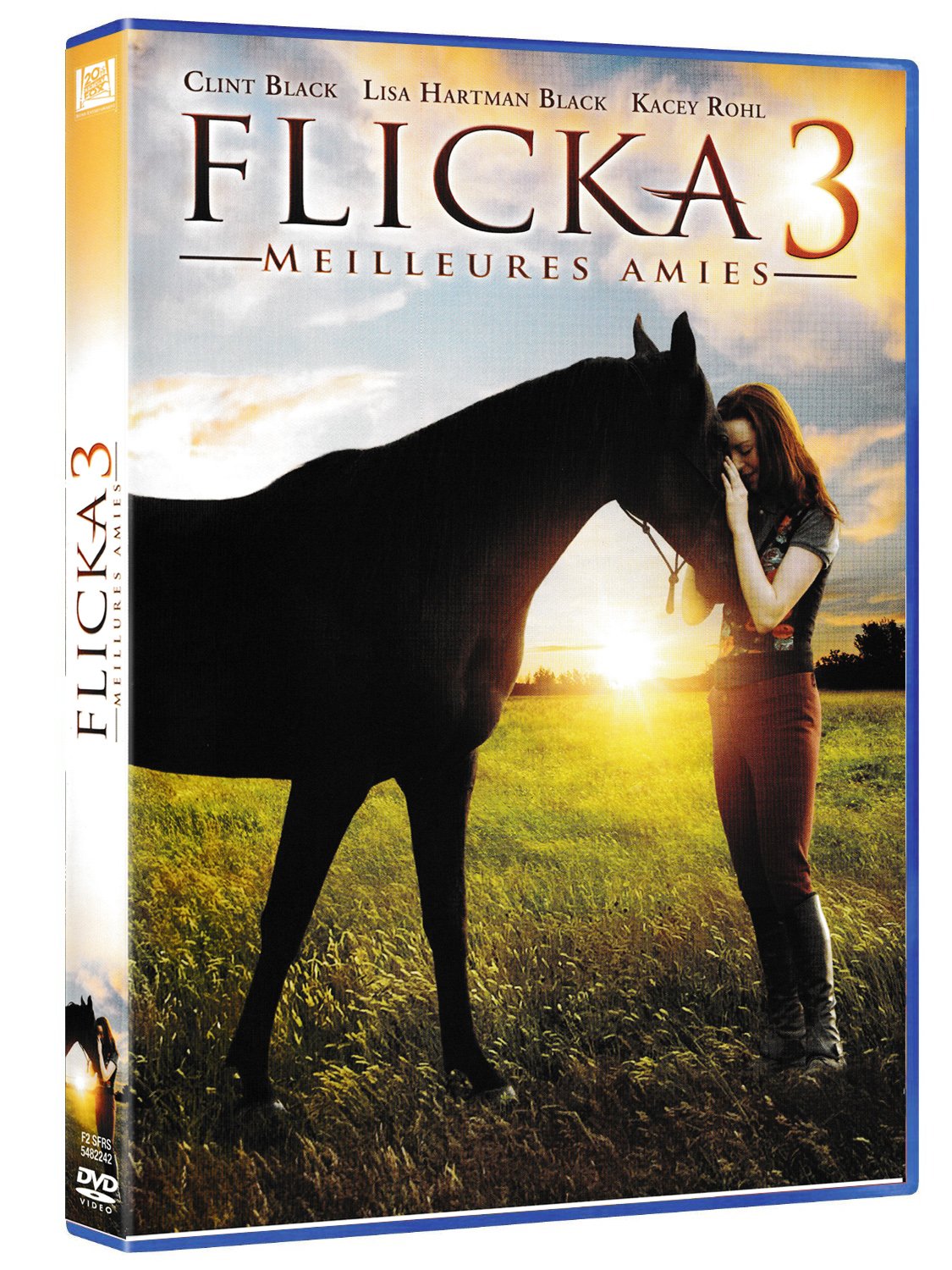 Flicka 3 : Meilleures amies [DVD] 3344428062095