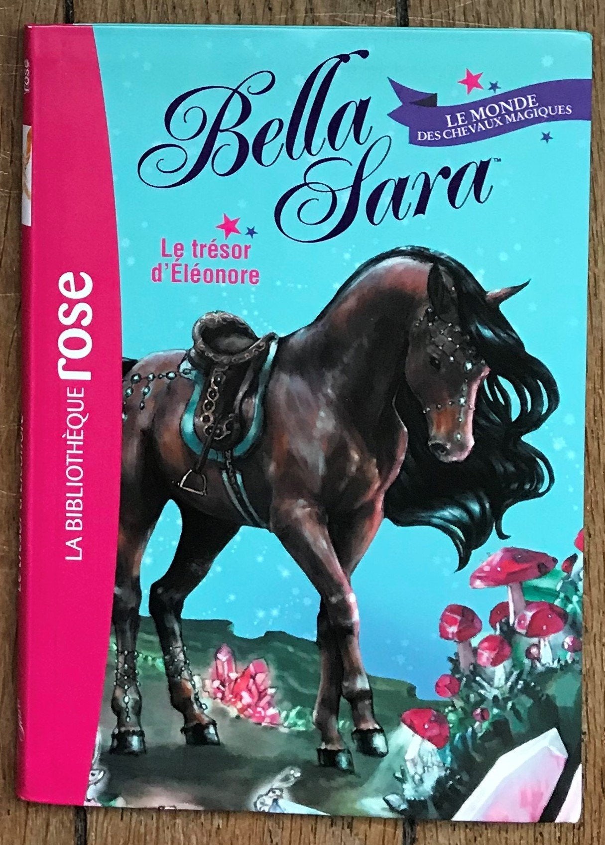 Bella Sara 02 - Le trésor d'Éléonore 9782012023376