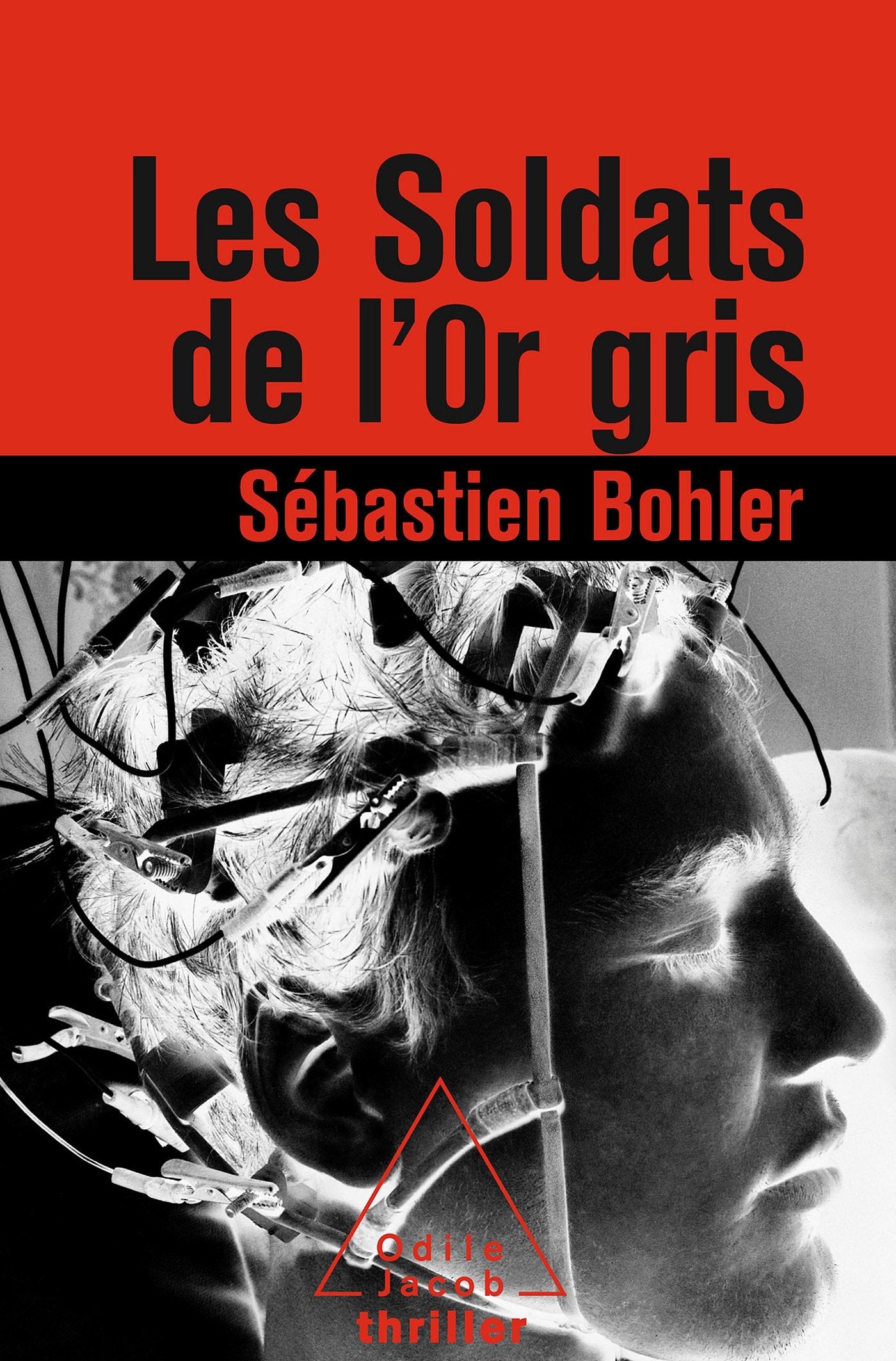 Les Soldats de l'or gris 9782738127082