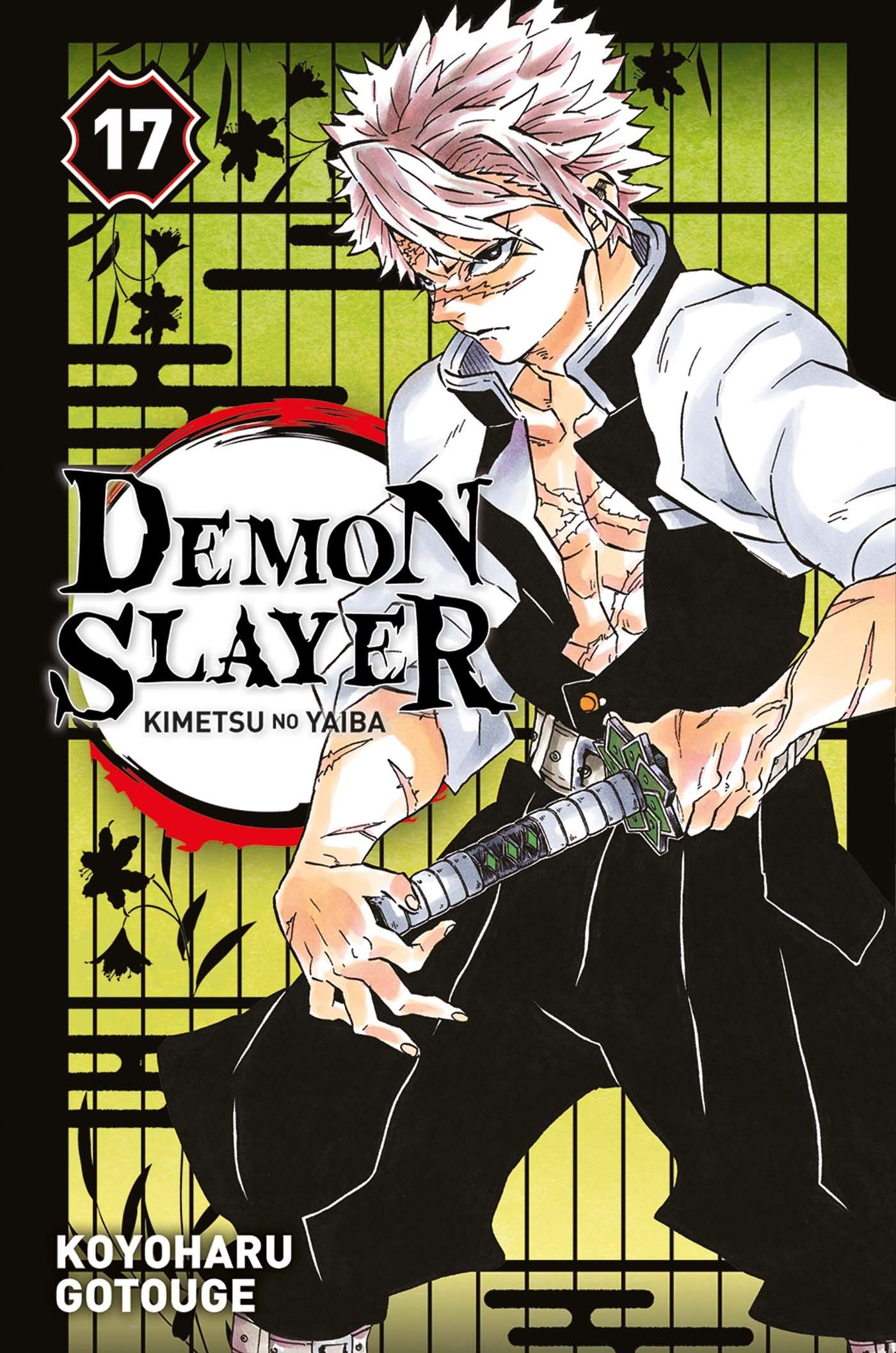 Demon Slayer T17 9782809496987