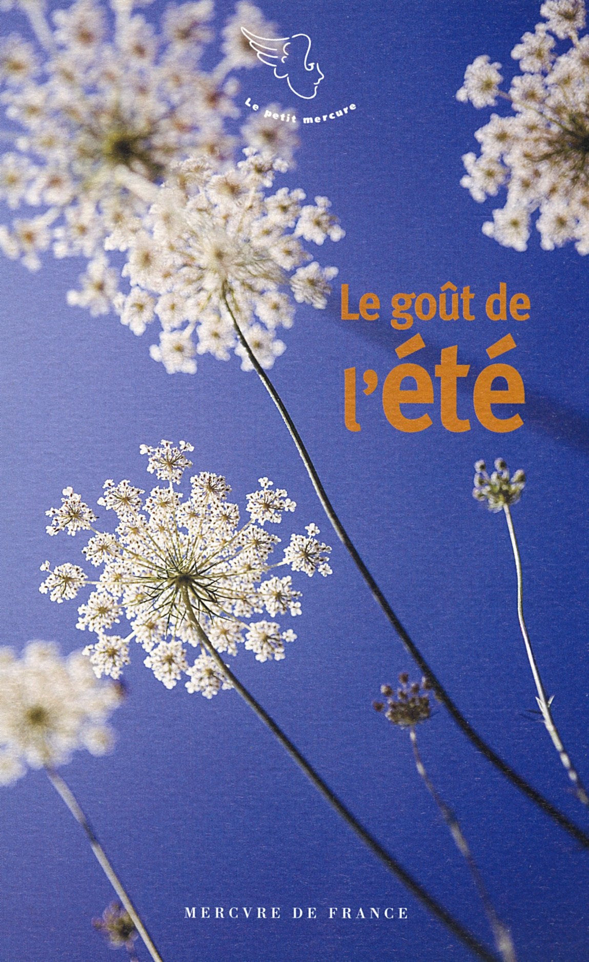 Le goût de l'été 9782715243750