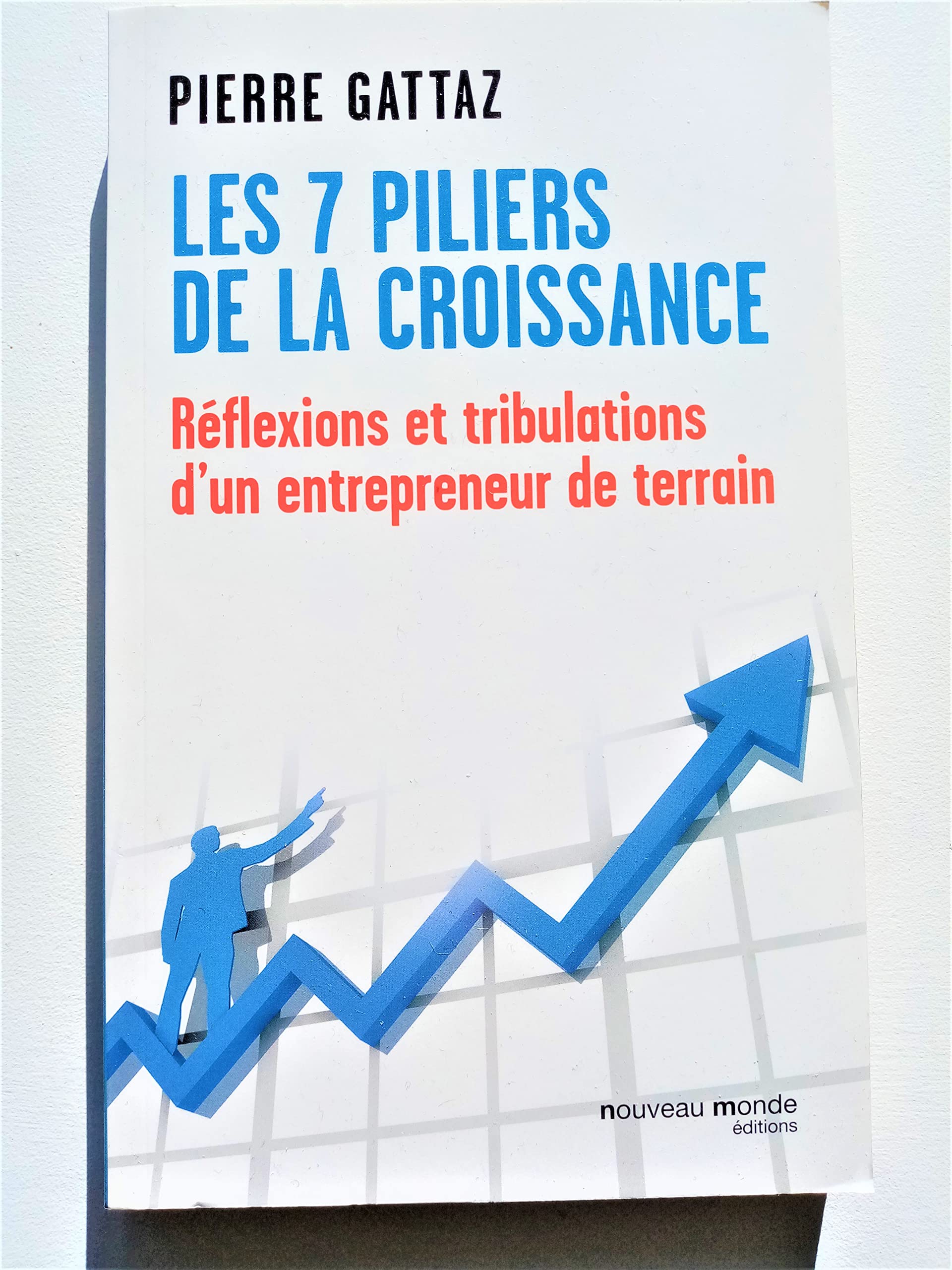 7 piliers de la croissance: Réflexions et tribulations d'un entrepreneur de terrain 9782365833929