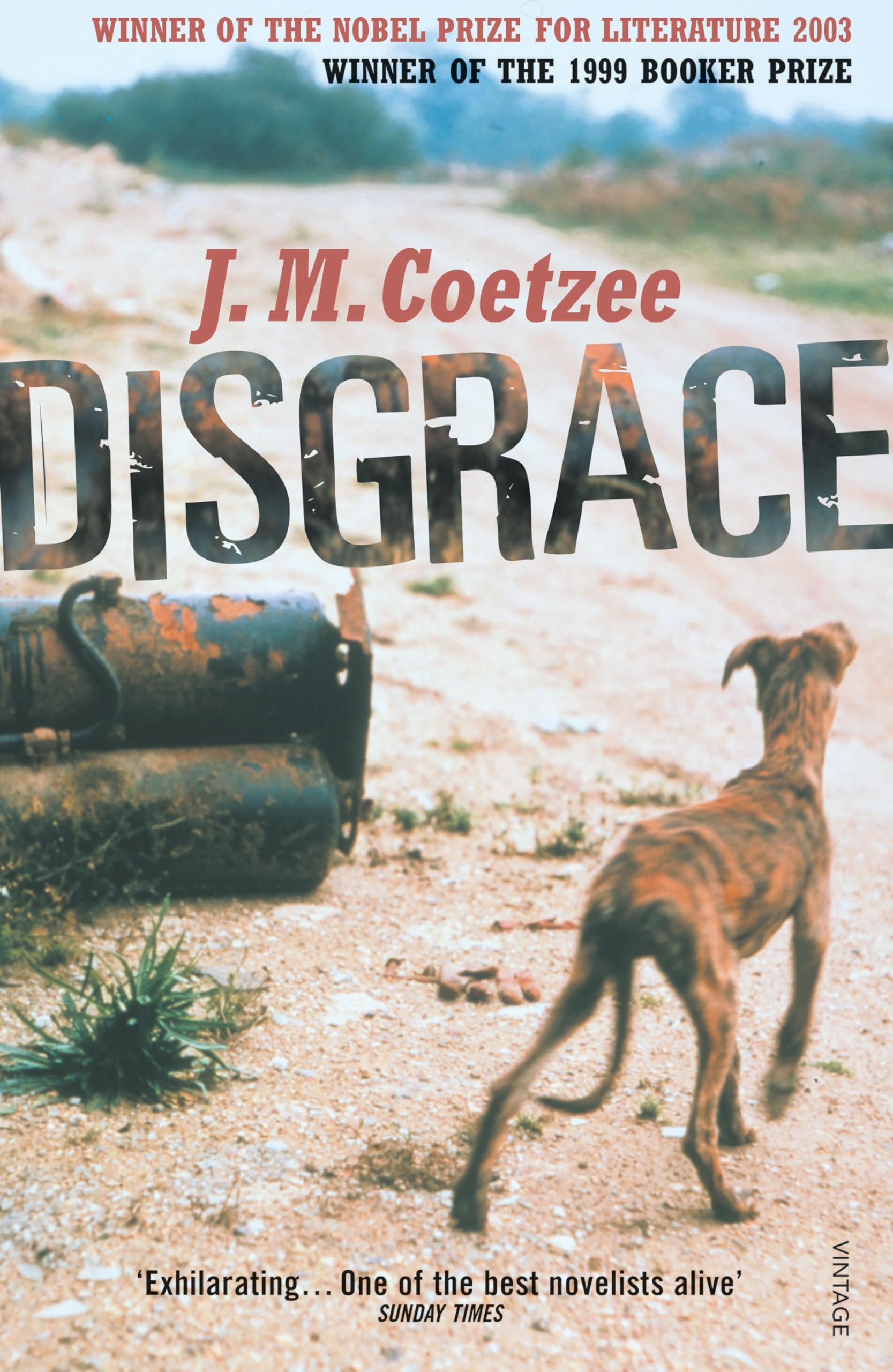 Disgrace: A BBC Radio 4 Good Read 9780099289524