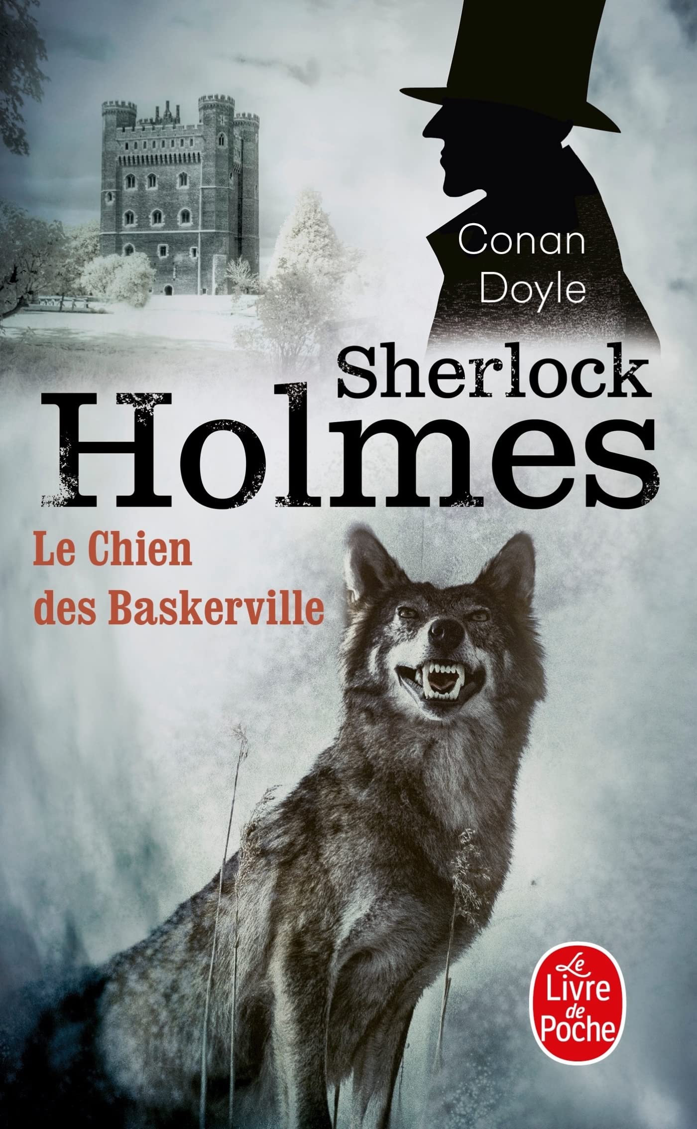 Le Chien des Baskerville 9782253003144