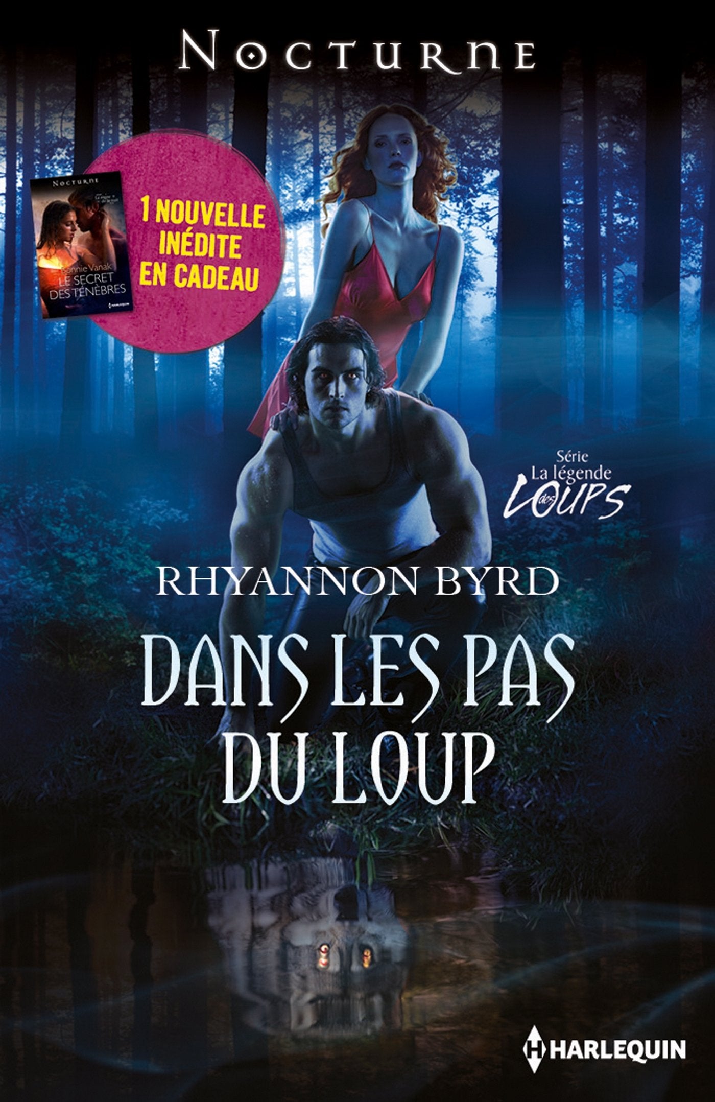 Dans les pas du loup ; Le secret des ténèbres 9782280312493