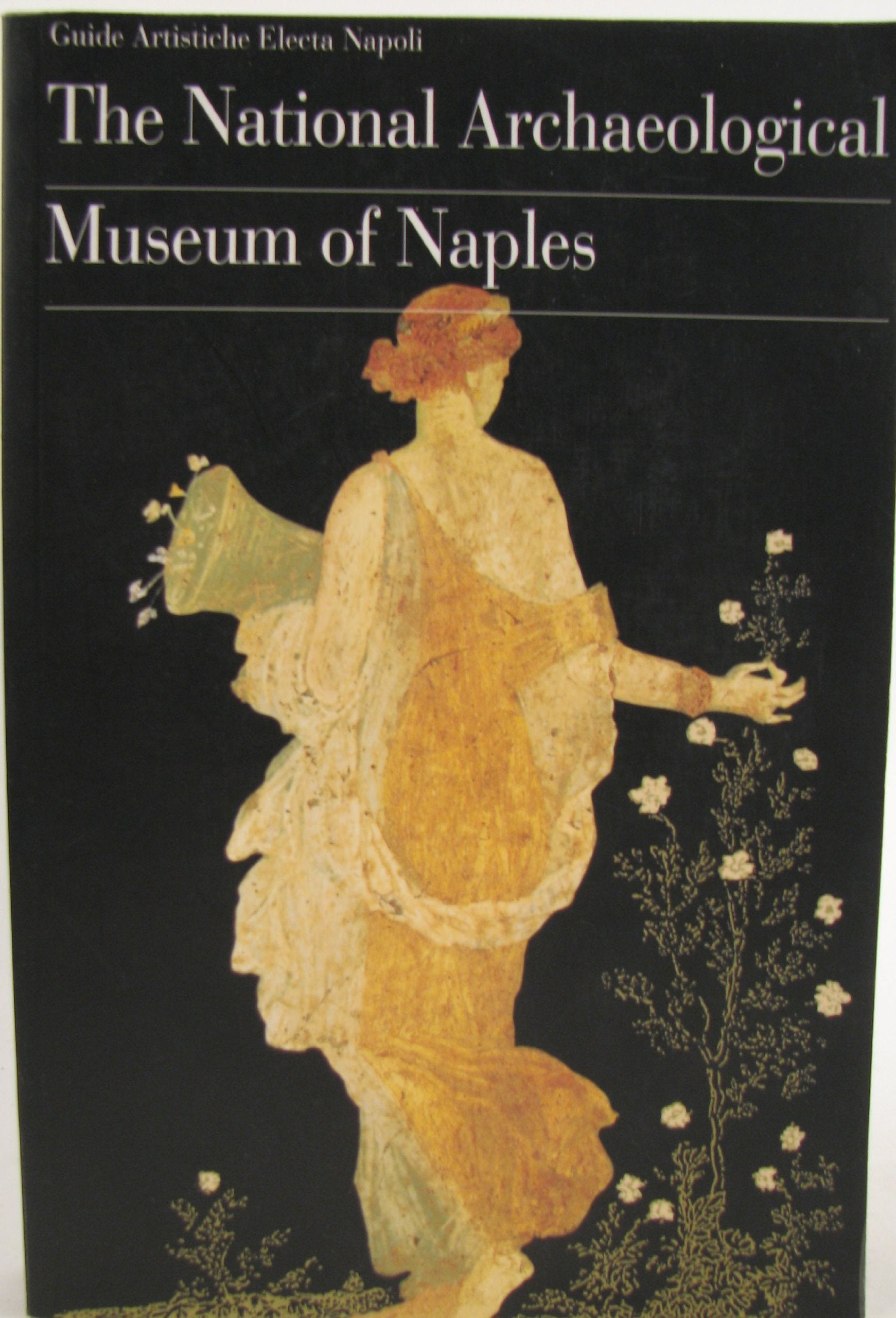 Il museo archeologico nazionale di Napoli. Ediz. inglese 9788843556014